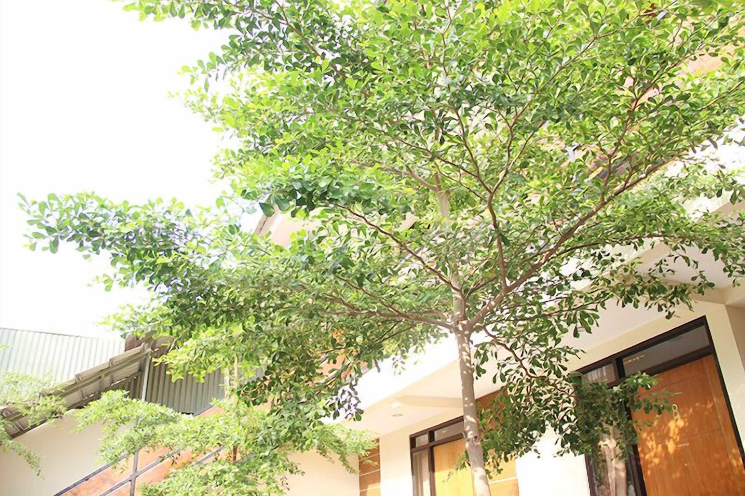 Gift card for Bamboe Inn Homestay Gift card for Bamboe Inn Homestay