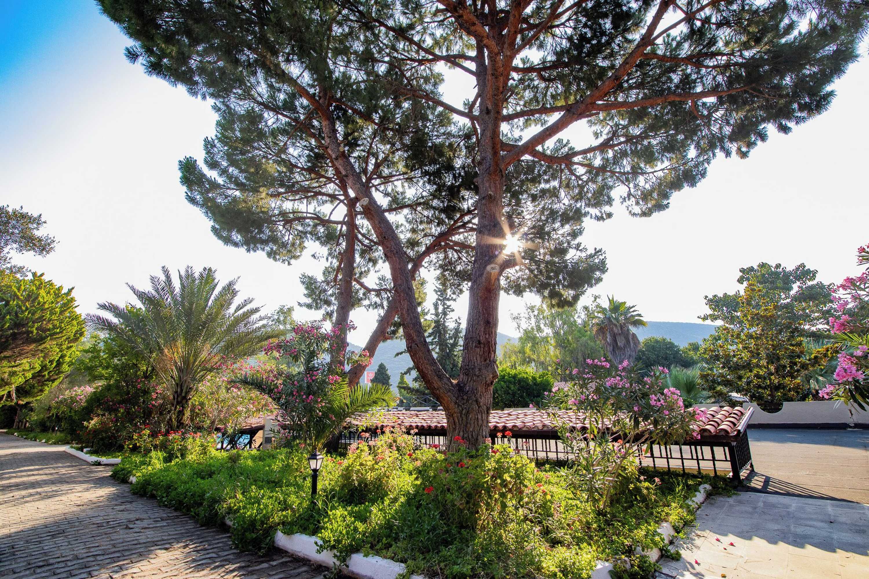 Gift card for Pigale Beach Resort Gift card for Pigale Beach Resort