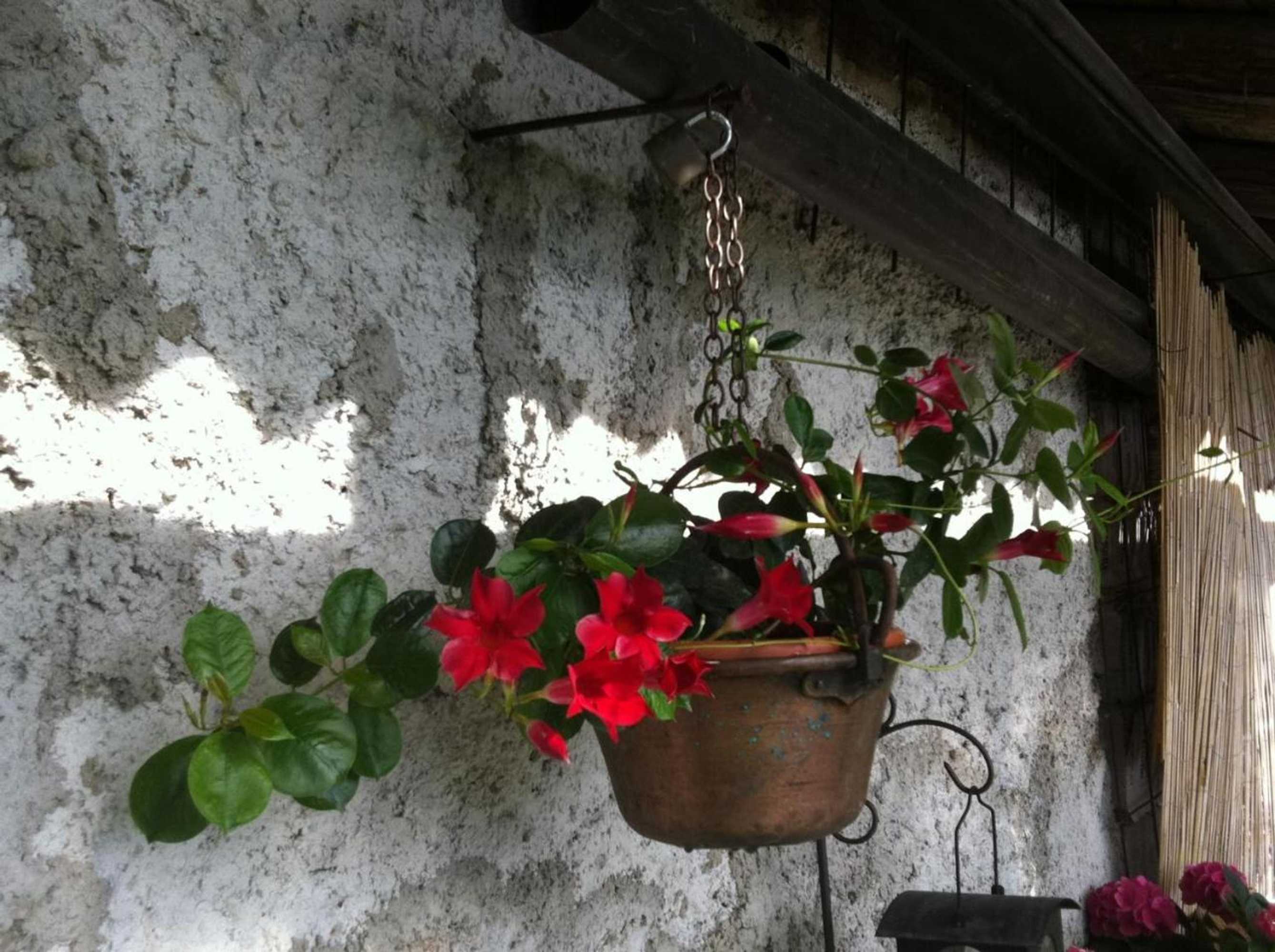 Gift card for B&b Alba Sul Lago