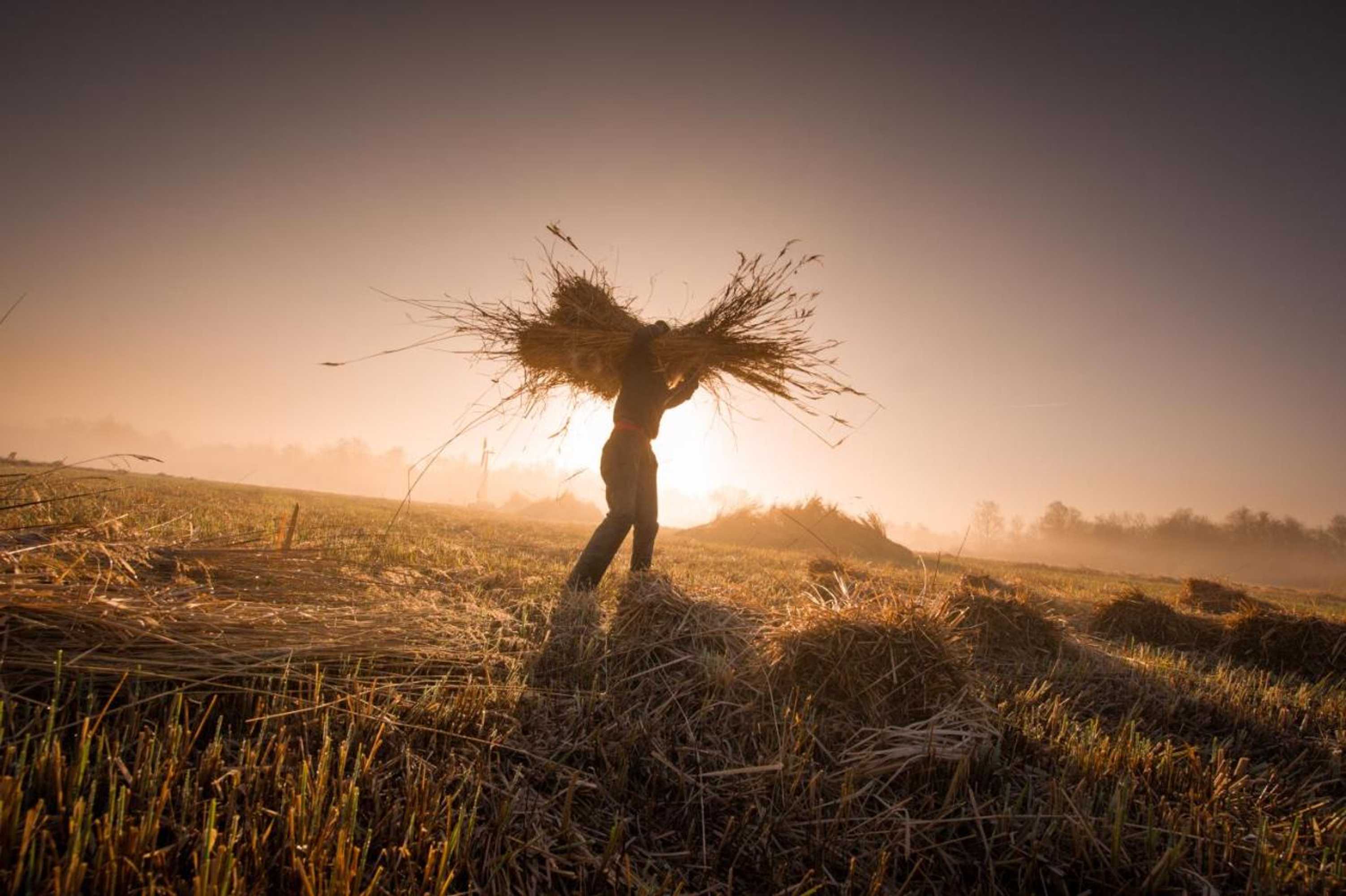 Gift card for Hotel de Pergola