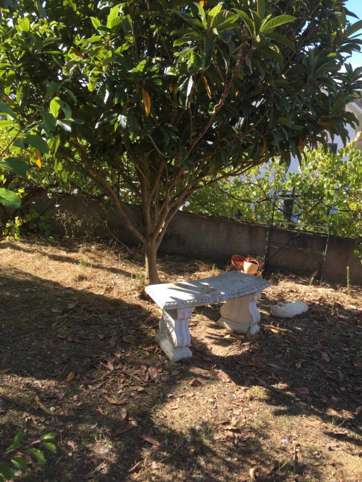 Gift card for Casa Traca