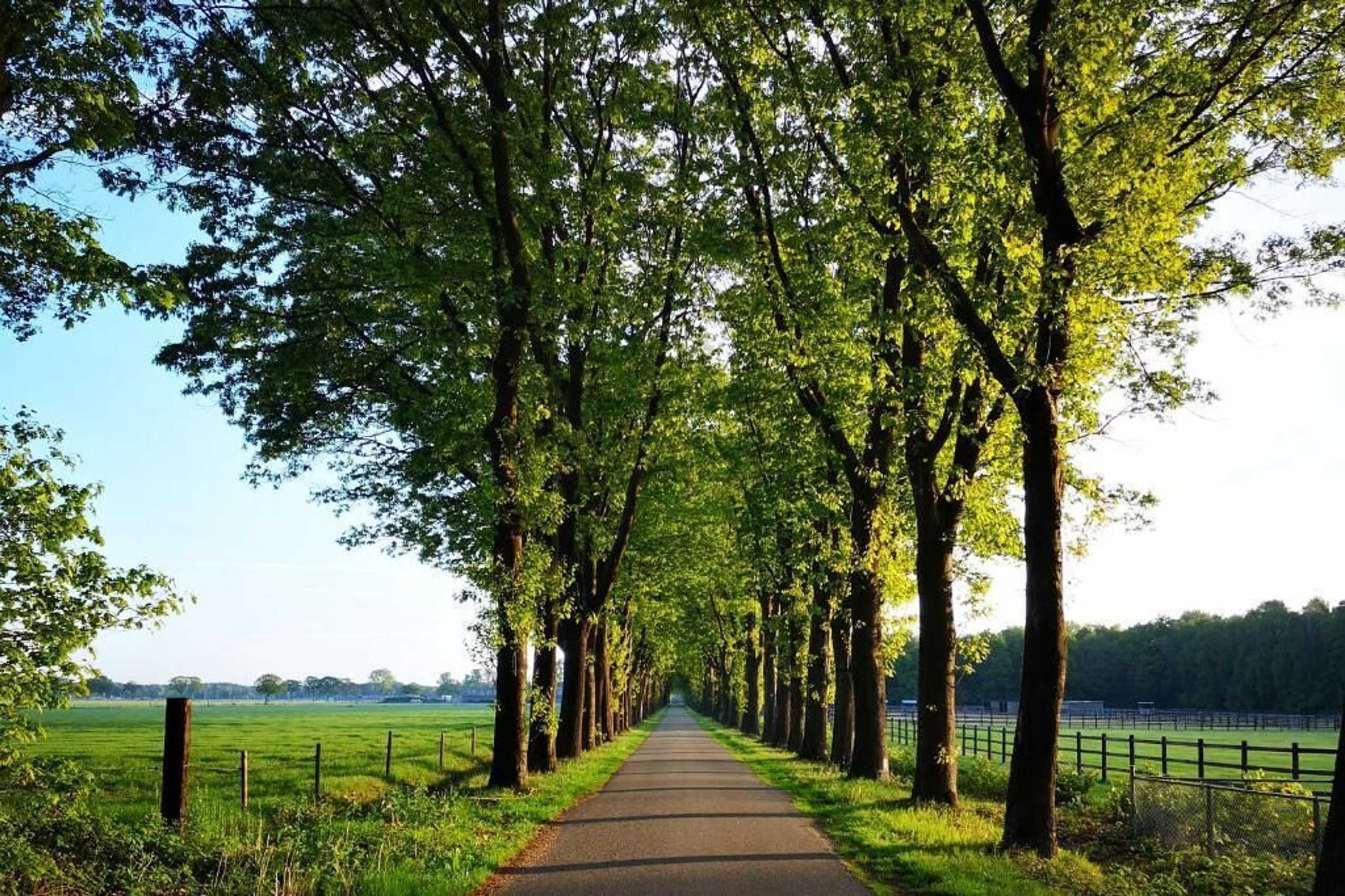 Gift card for Boutique Hotel Lytel Blue