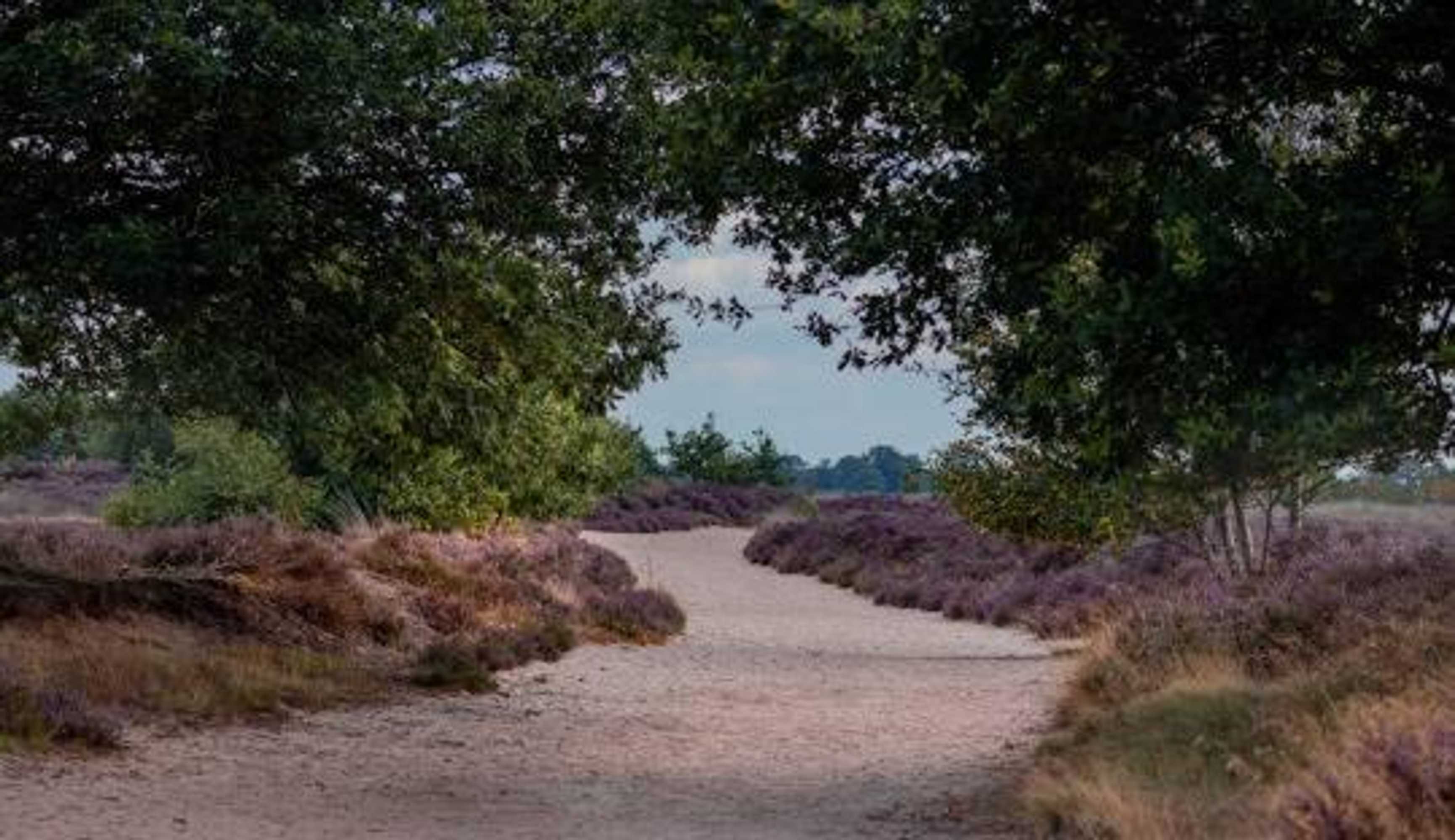 Gift card for De Herberg Van Loon