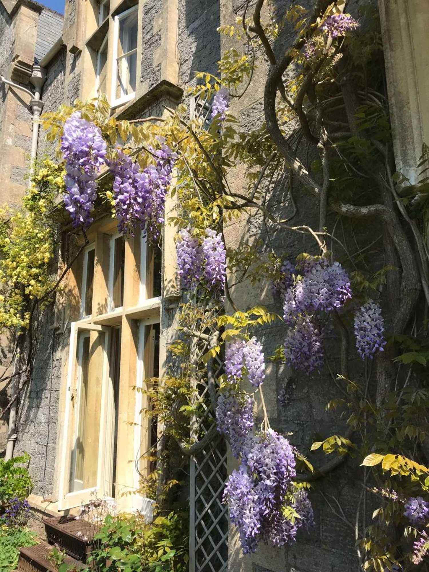 Gift card for Beryl Country House