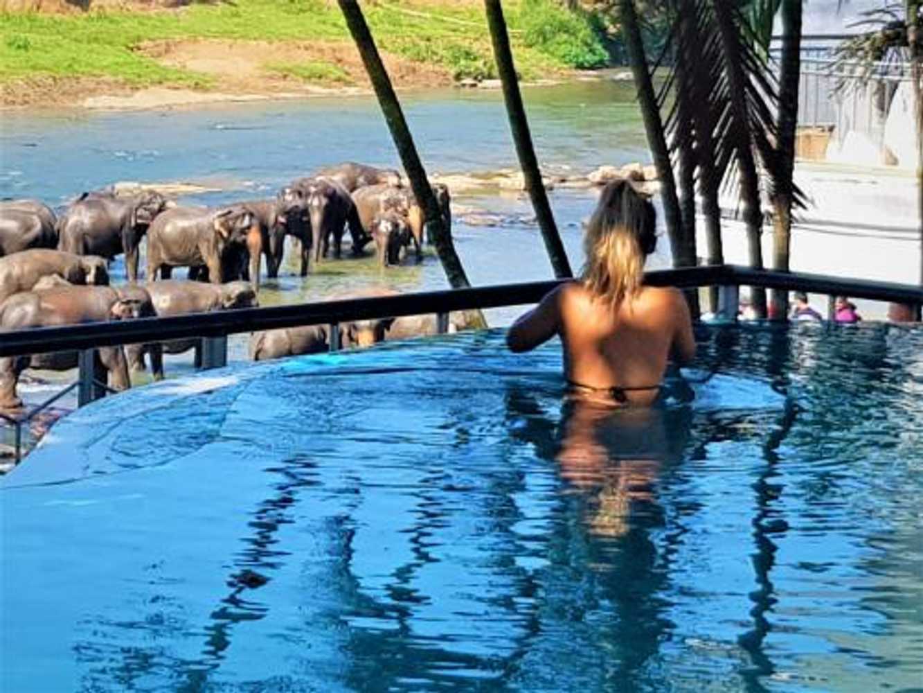 Gift card for Hotel Elephant Park - New Deal! Half Off Airport Pickups Available