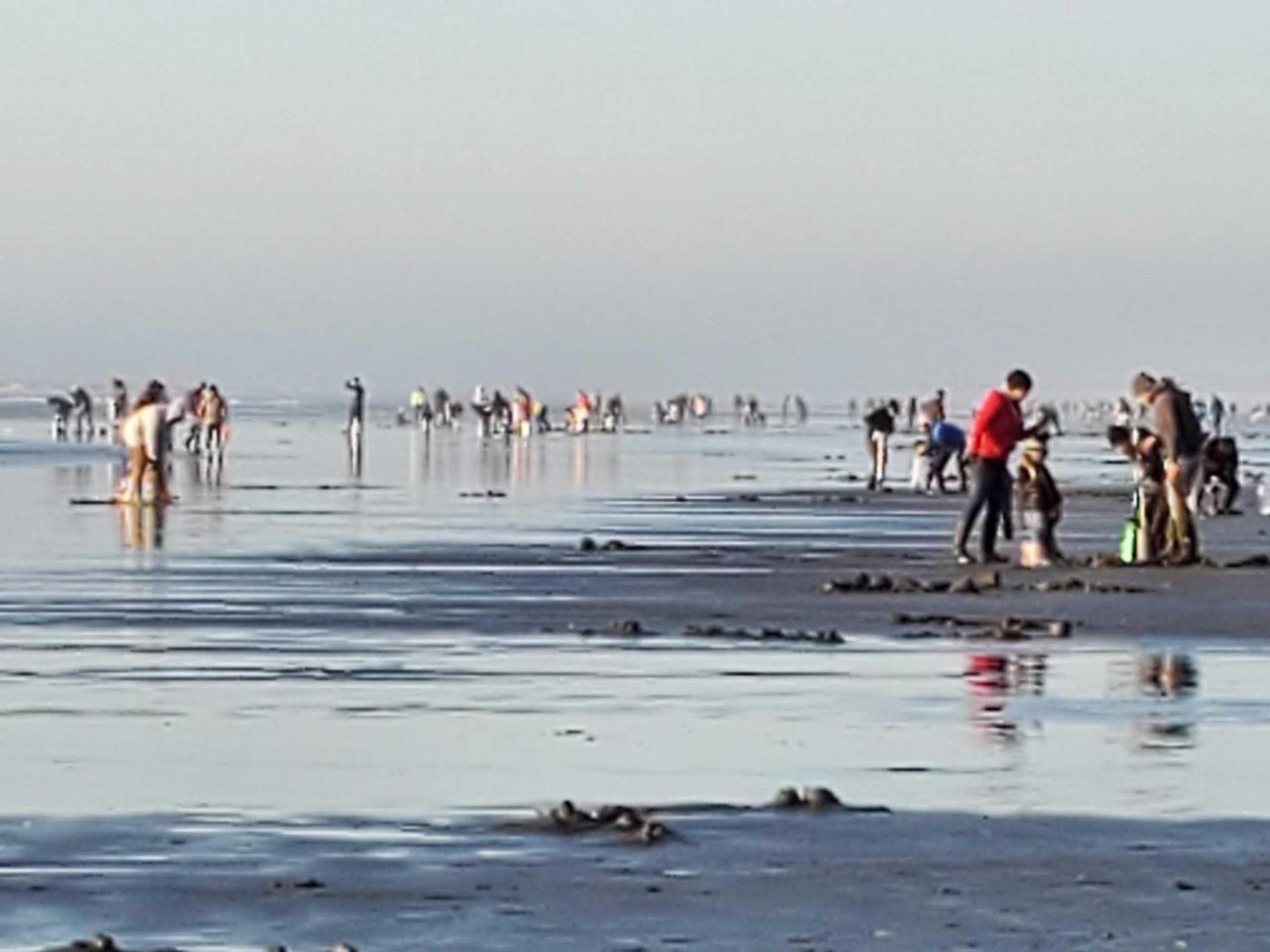 Gift card for Mariners Cove Inn