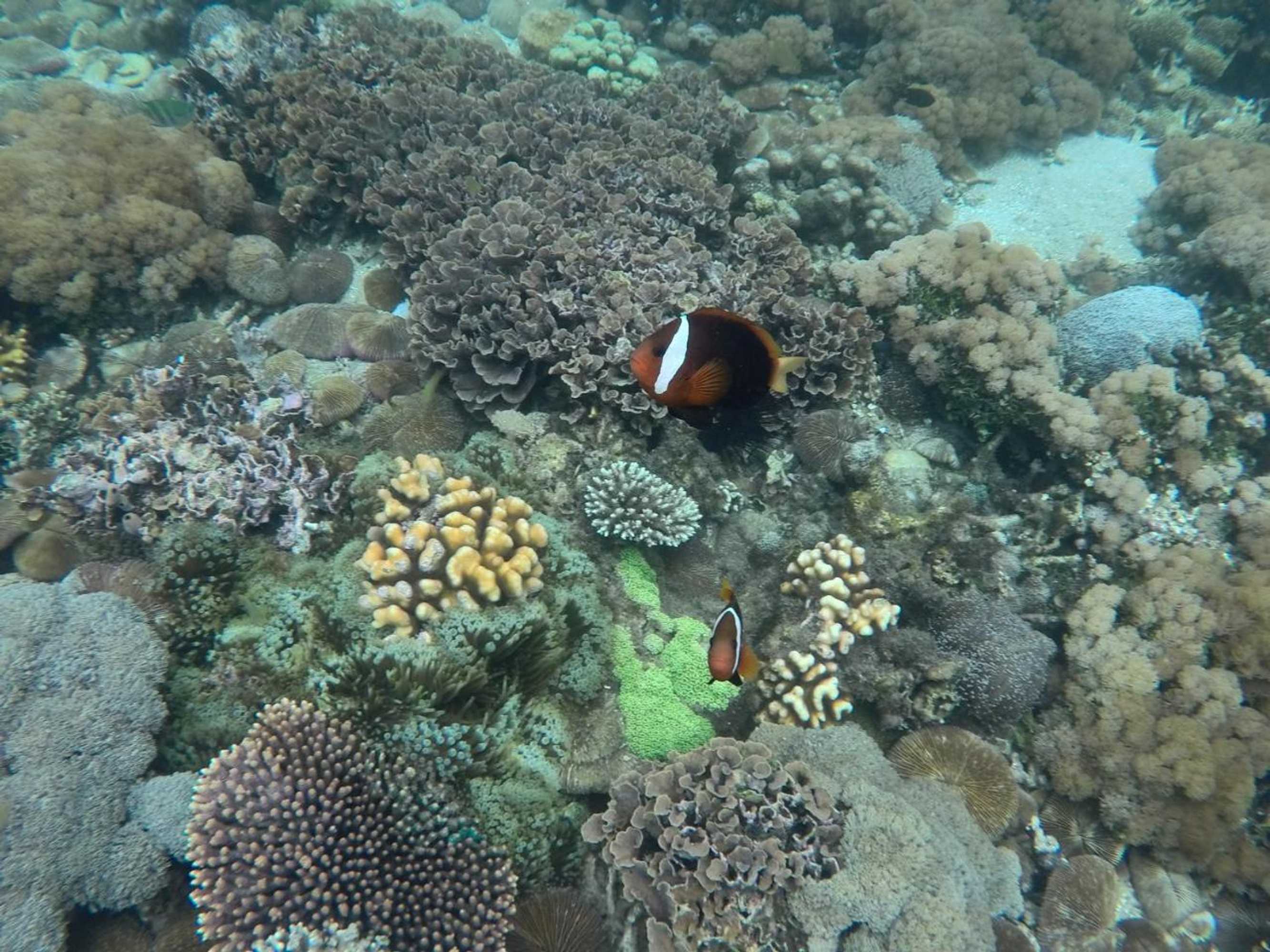 Gift card for Ekas Surf Resort & Surf Camp