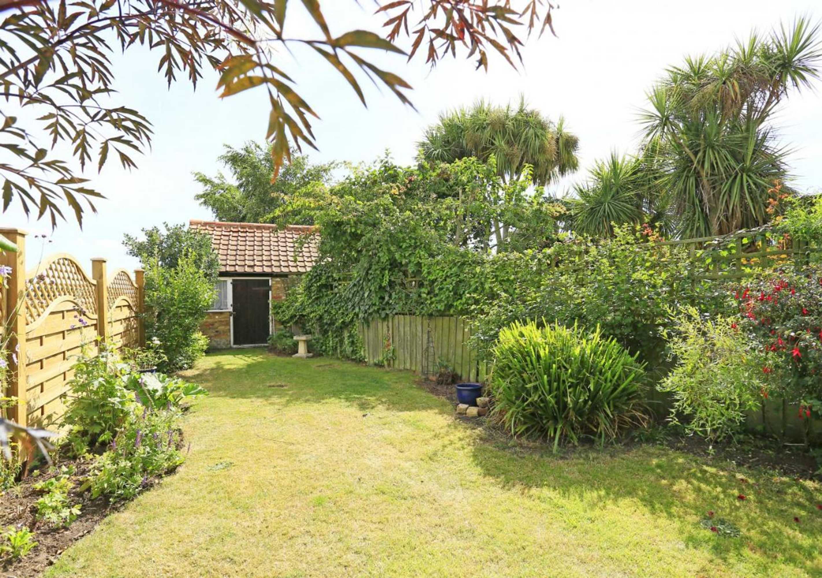 Gift card for Hollyhocks