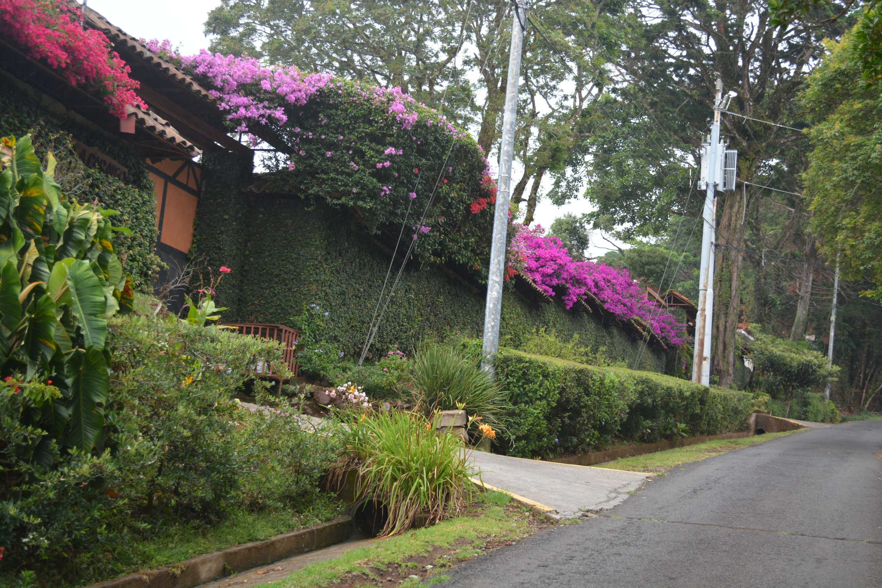 Gift card for Finca Paraiso Mountain Retreat Gift card for Finca Paraiso Mountain Retreat