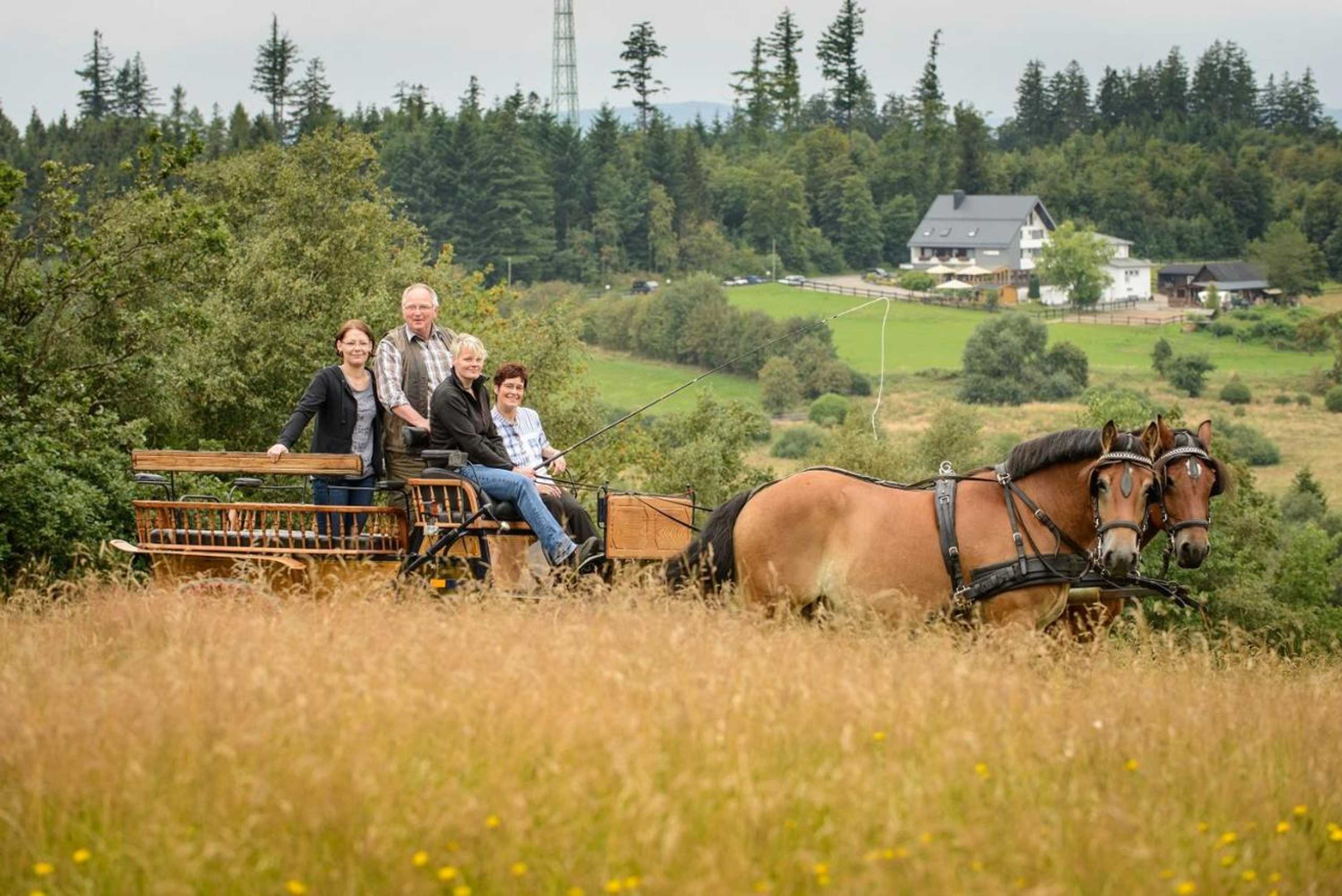 Gift card for Ginsberger Heide