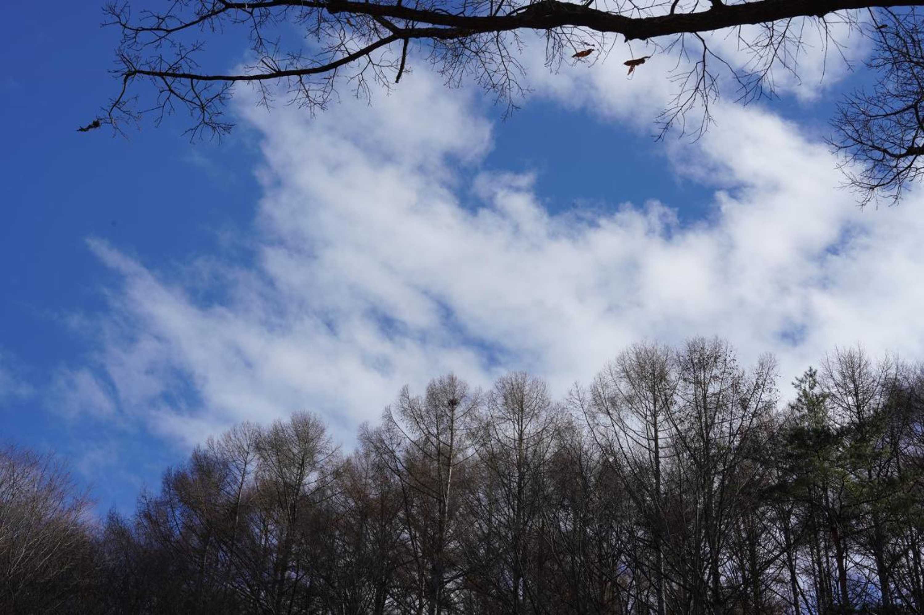 Gift card for Hutte Lied