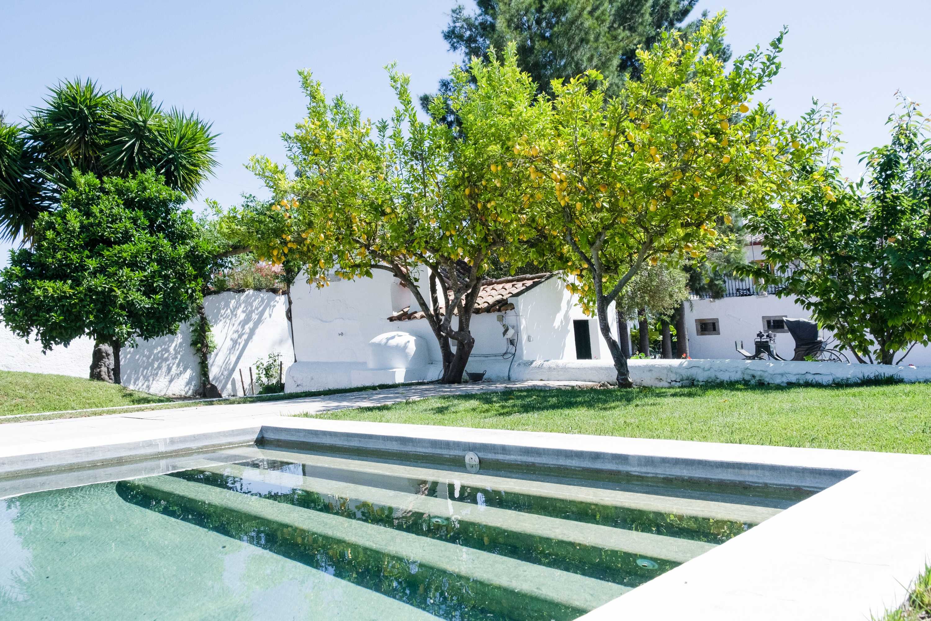 Gift card for Casa Dos Condes