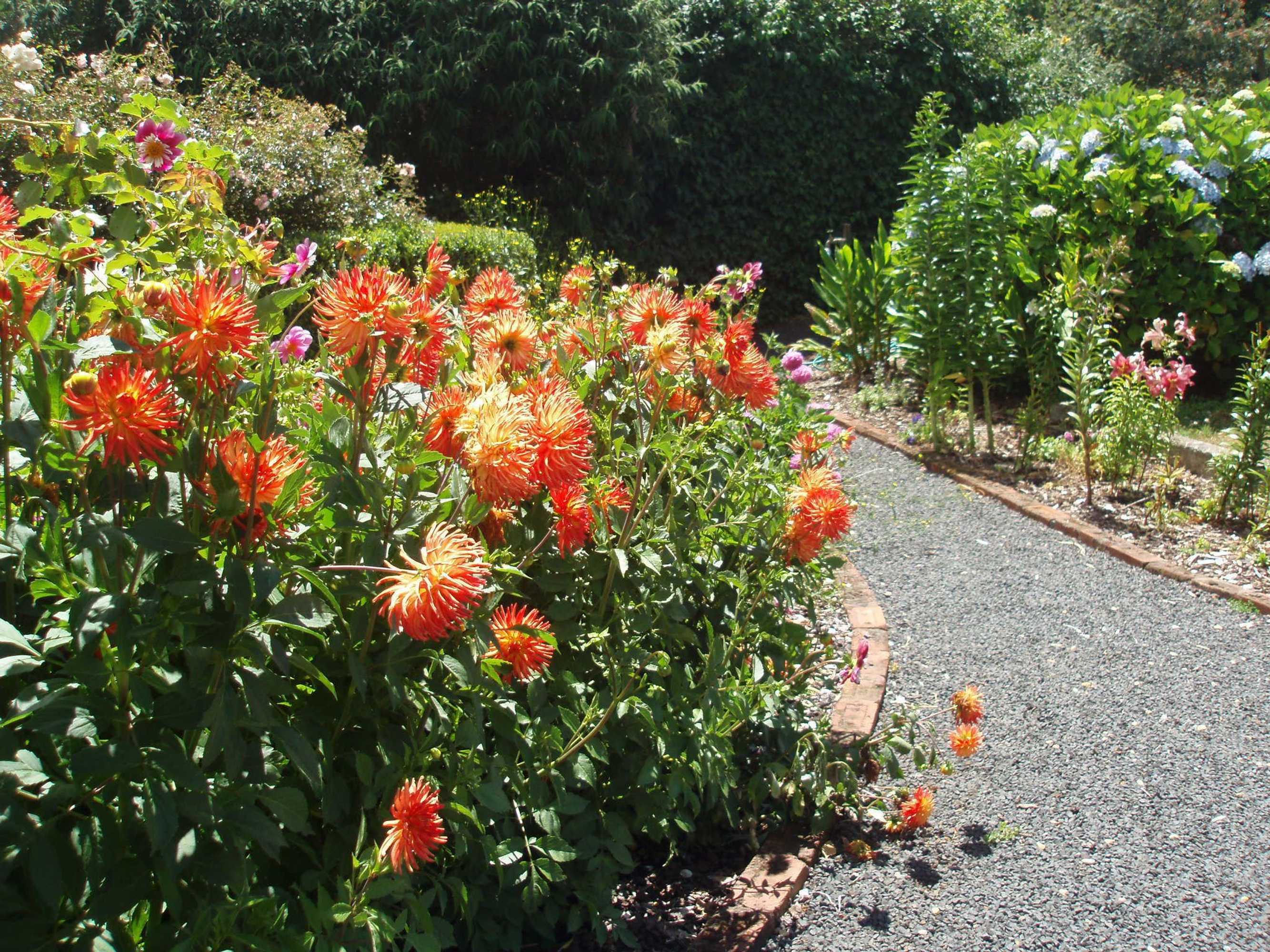 Gift card for Boat Harbour Garden Cottages Gift card for Boat Harbour Garden Cottages