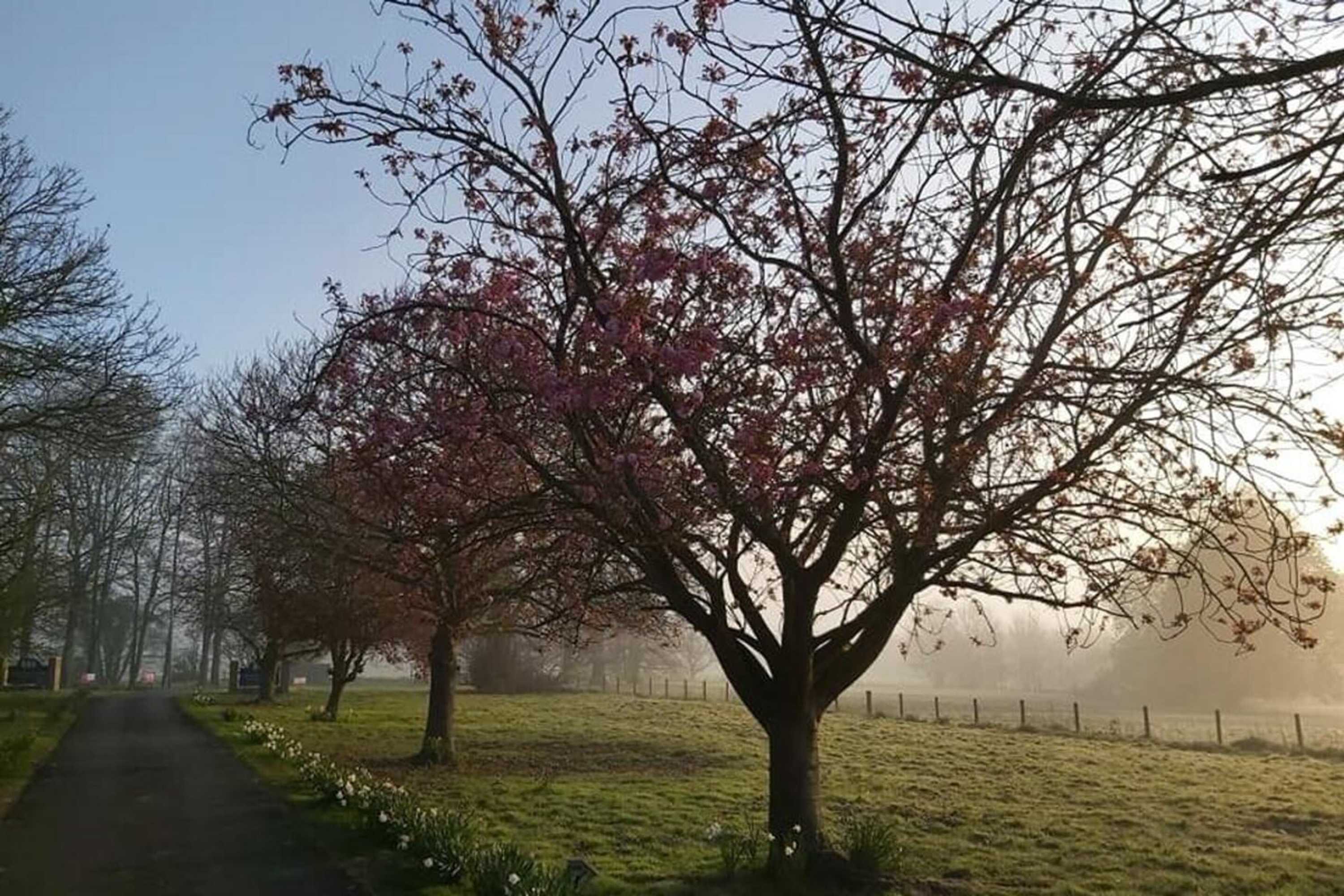 Gift card for The Judds Folly Hotel, Sure Hotel Collection by Best Western