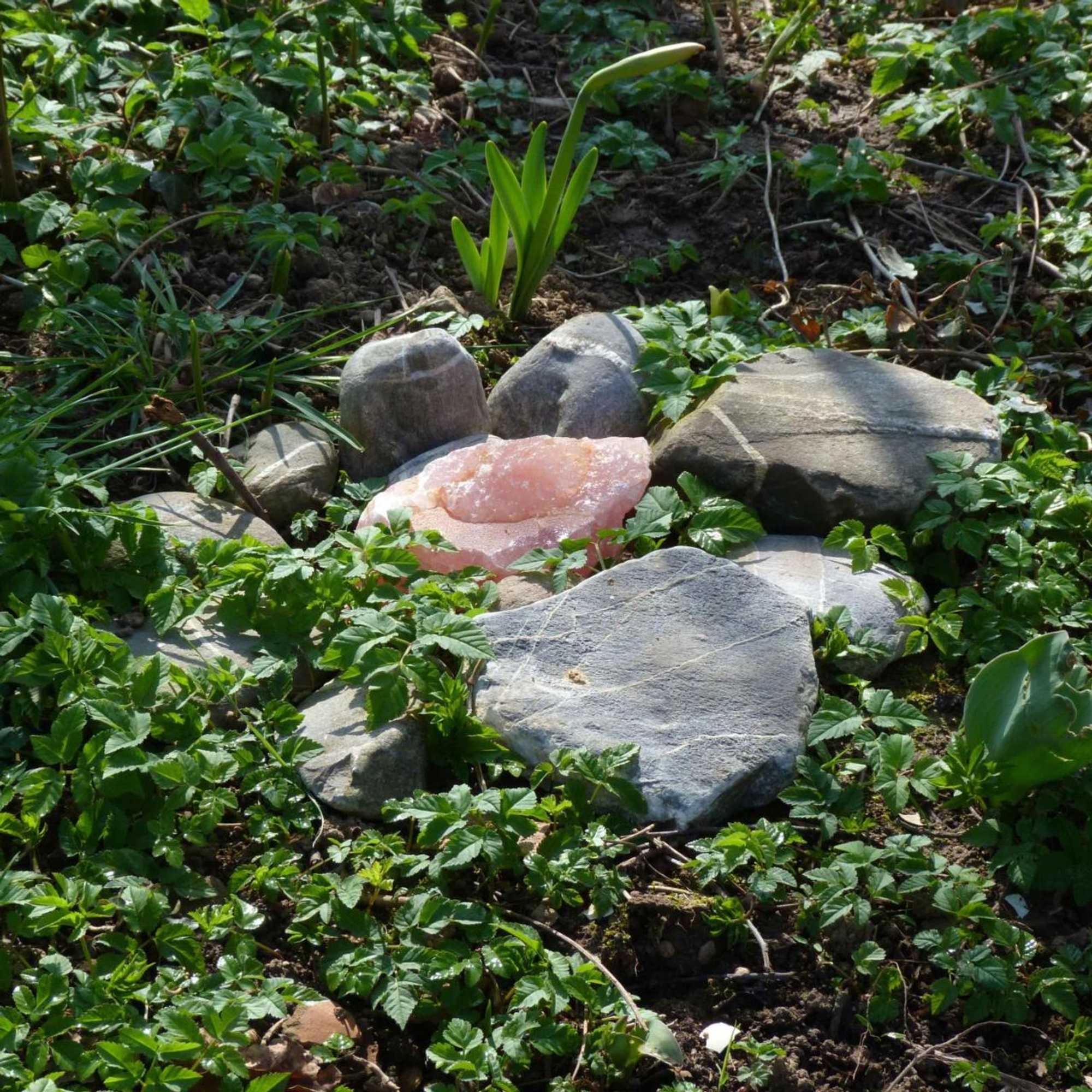 Gift card for Bnb Goldberg