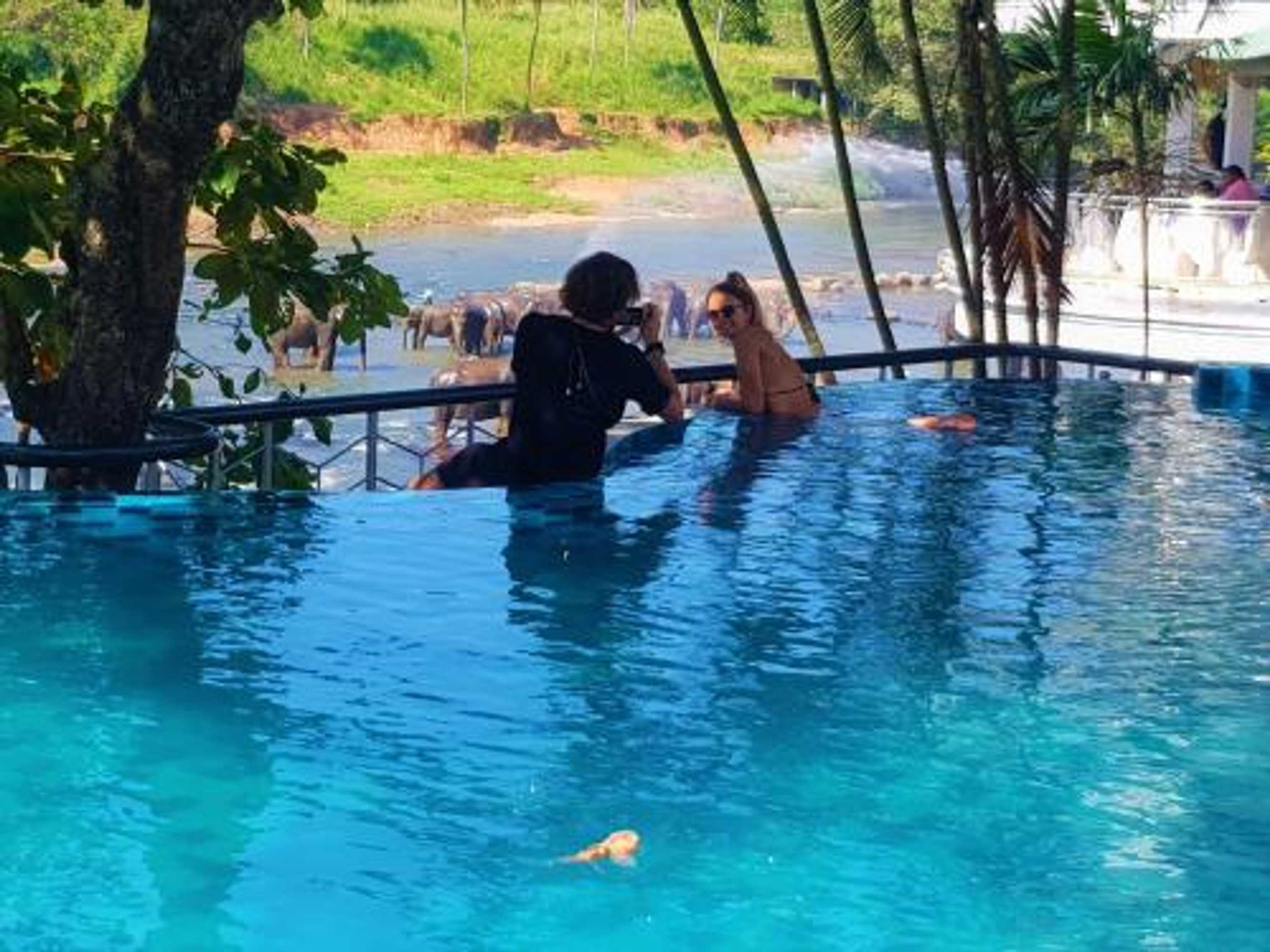 Gift card for Hotel Elephant Park - New Deal! Half Off Airport Pickups Available Gift card for Hotel Elephant Park - New Deal! Half Off Airport Pickups Available