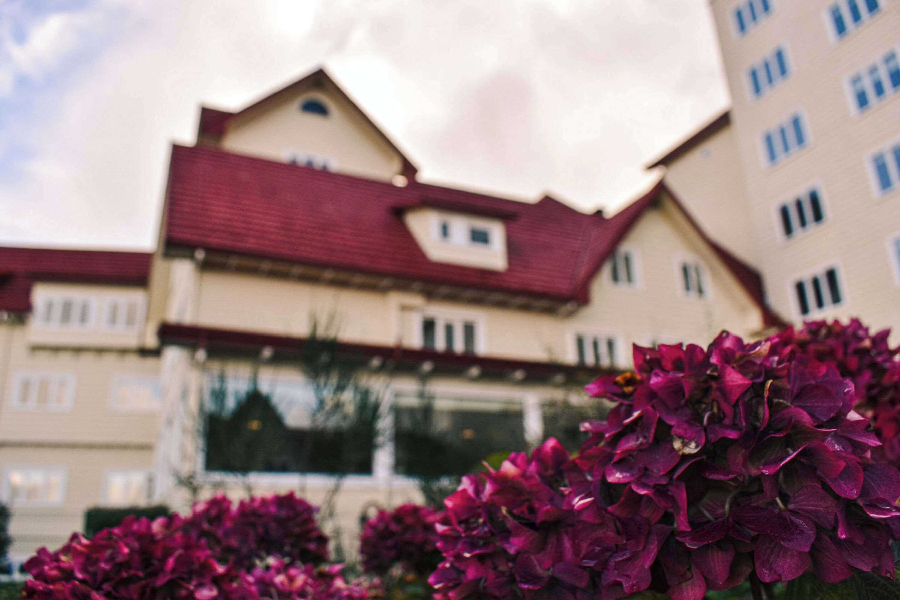 Gift card for Park Inn by Radisson Puerto Varas Gift card for Park Inn by Radisson Puerto Varas