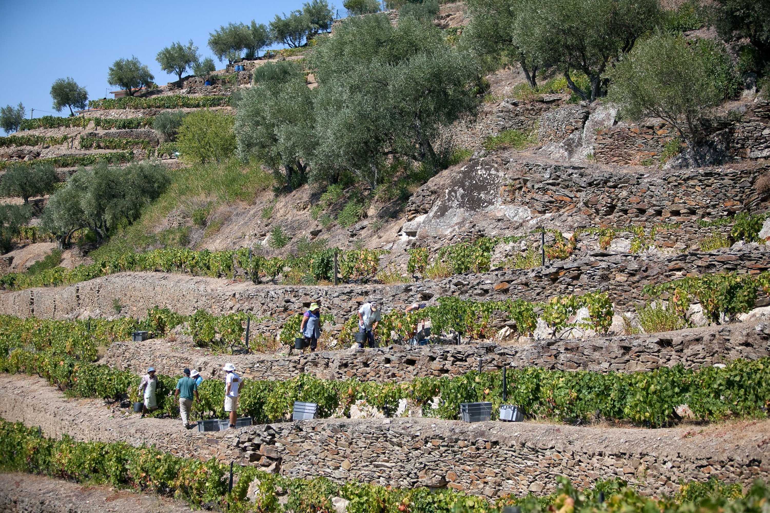 Gift card for Quinta DA Faisca - Agro Turismo Gift card for Quinta DA Faisca - Agro Turismo