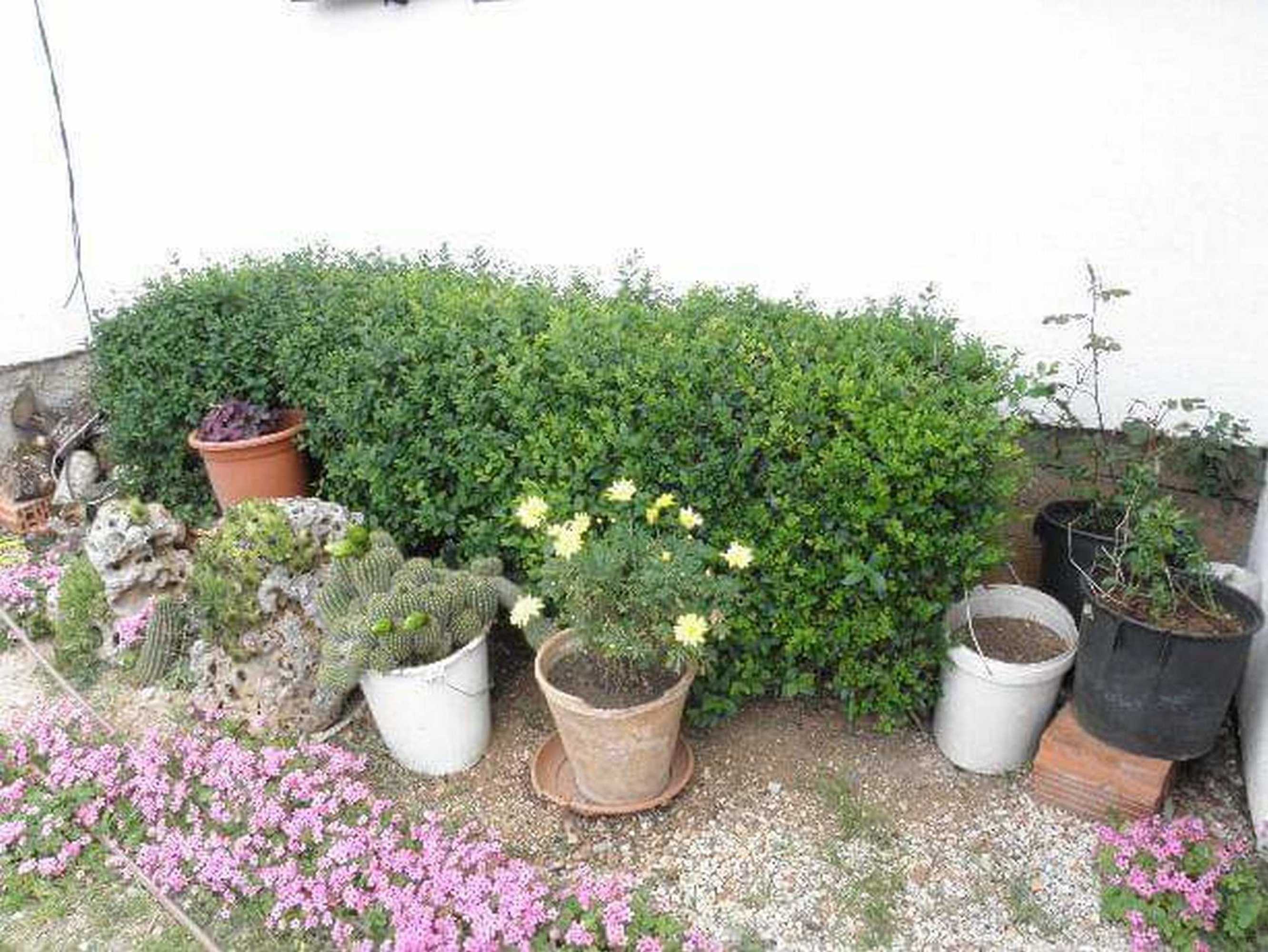 Gift card for Apartment And Rooms Mila