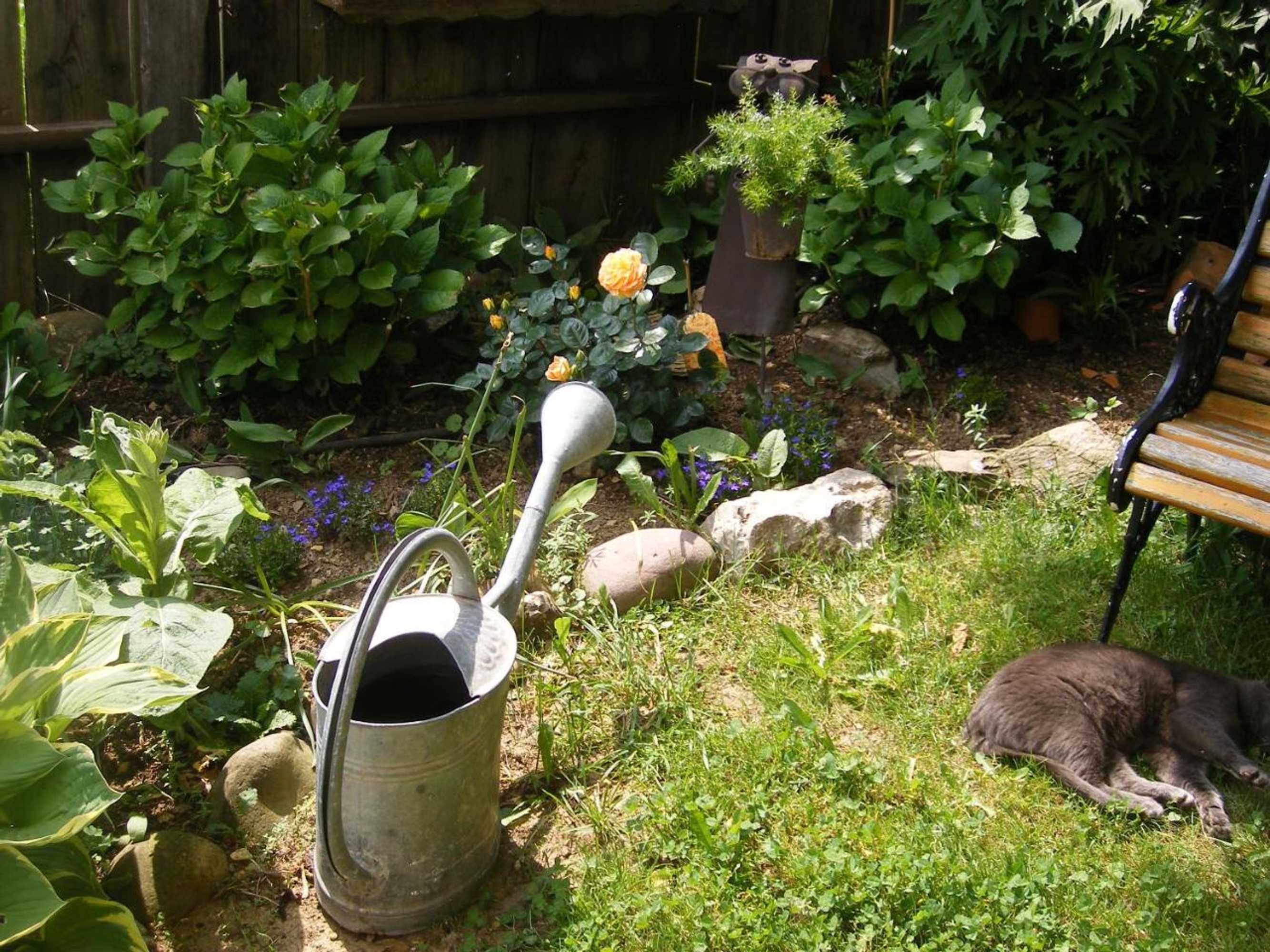 Gift card for Ferienwohnungen Frick