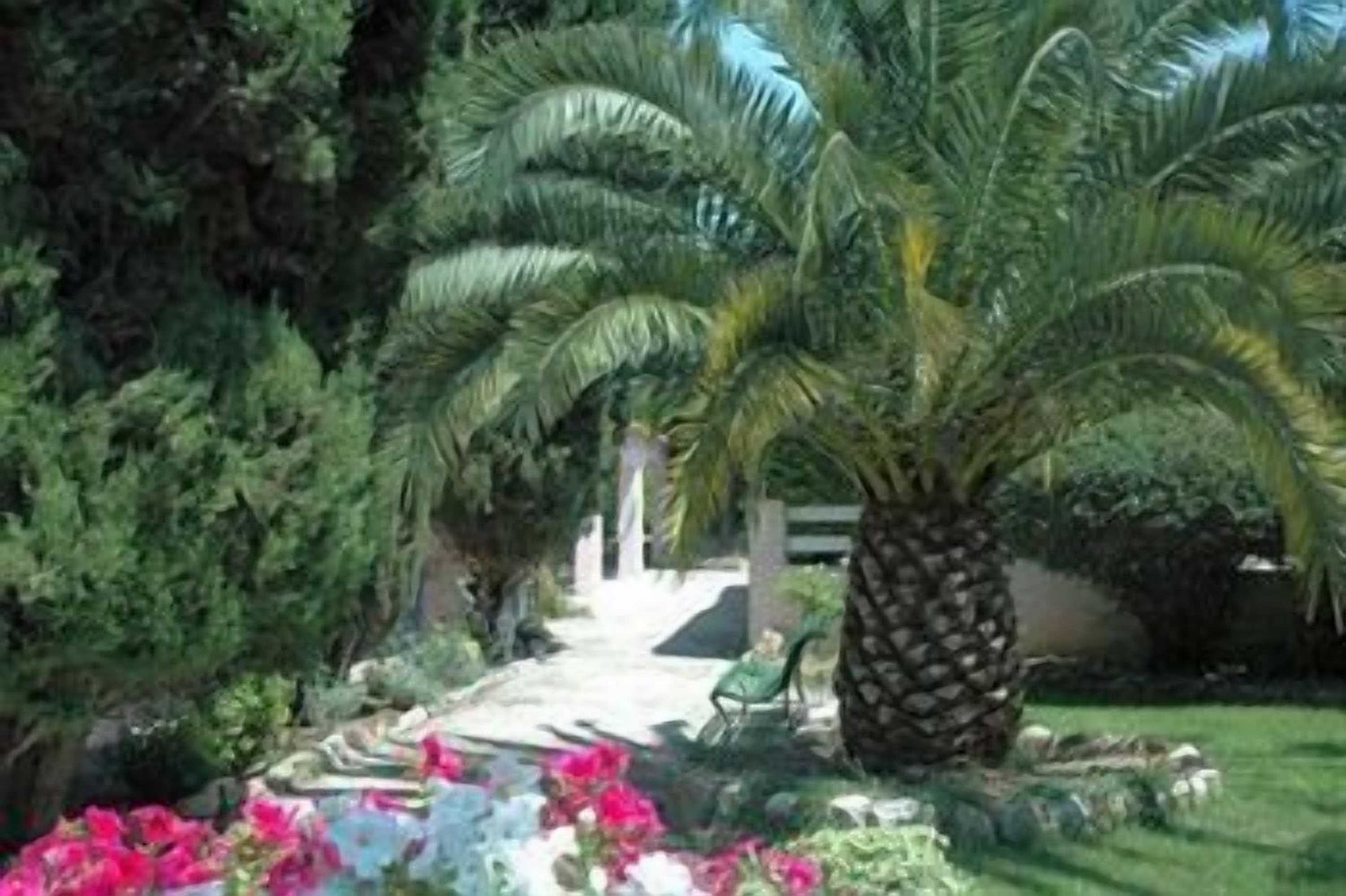 Gift card for Hôtel Les Liserons de Mougins Gift card for Hôtel Les Liserons de Mougins