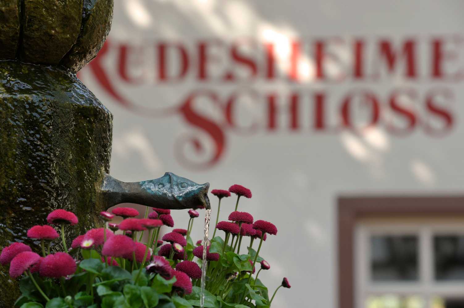 Gift card for Breuer's Rüdesheimer Schloss