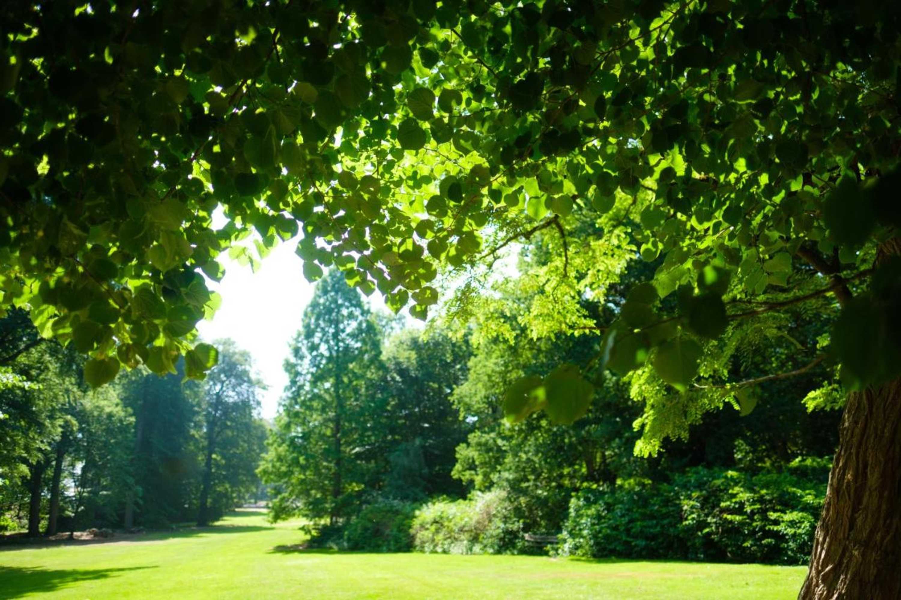 Gift card for Landgoed Rhederoord Nabij Arnhem