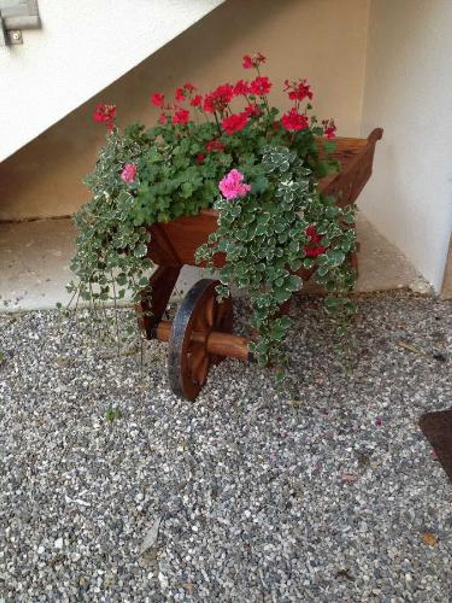 Gift card for Farmstay Alloggio Cort di Branc Gift card for Farmstay Alloggio Cort di Branc