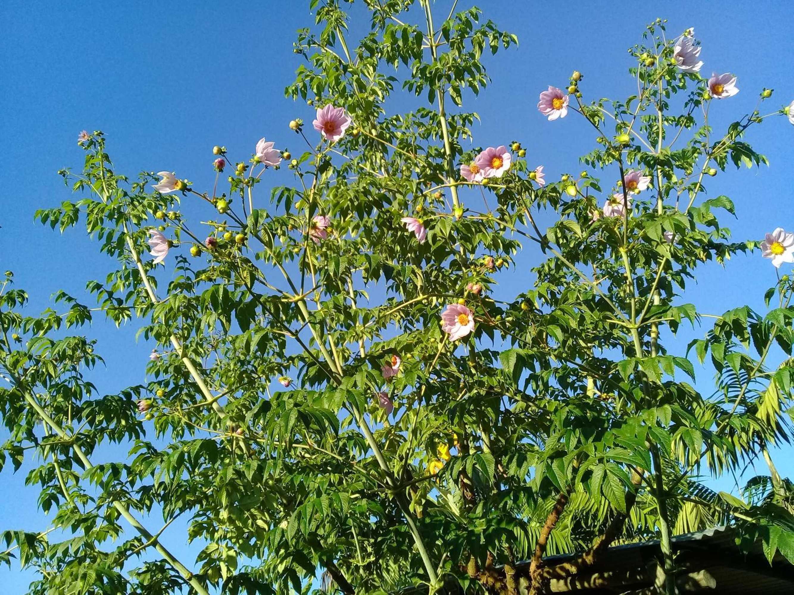 Gift card for Coraizone Hostal - Hostel