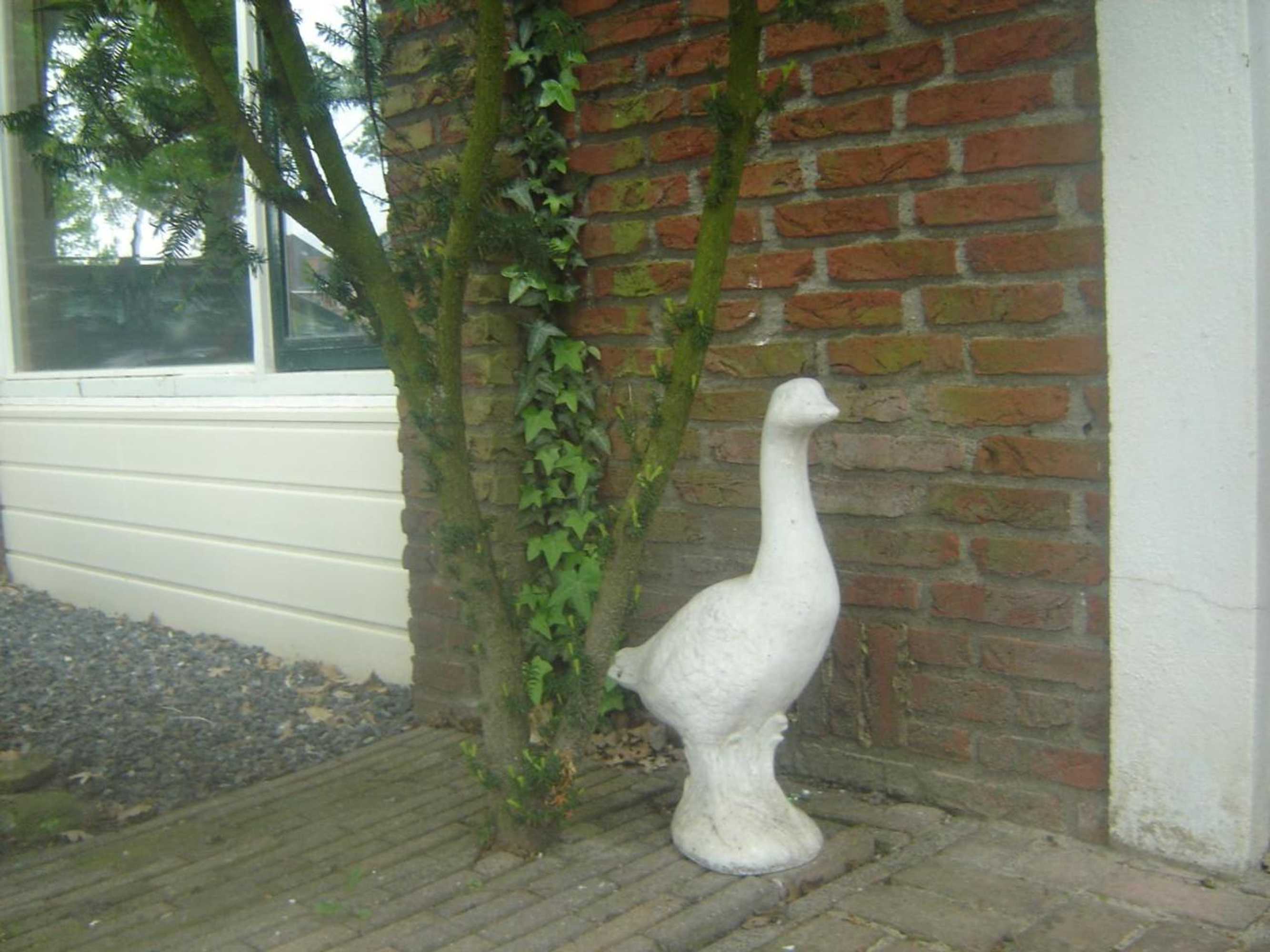 Gift card for B & B Kostelijk