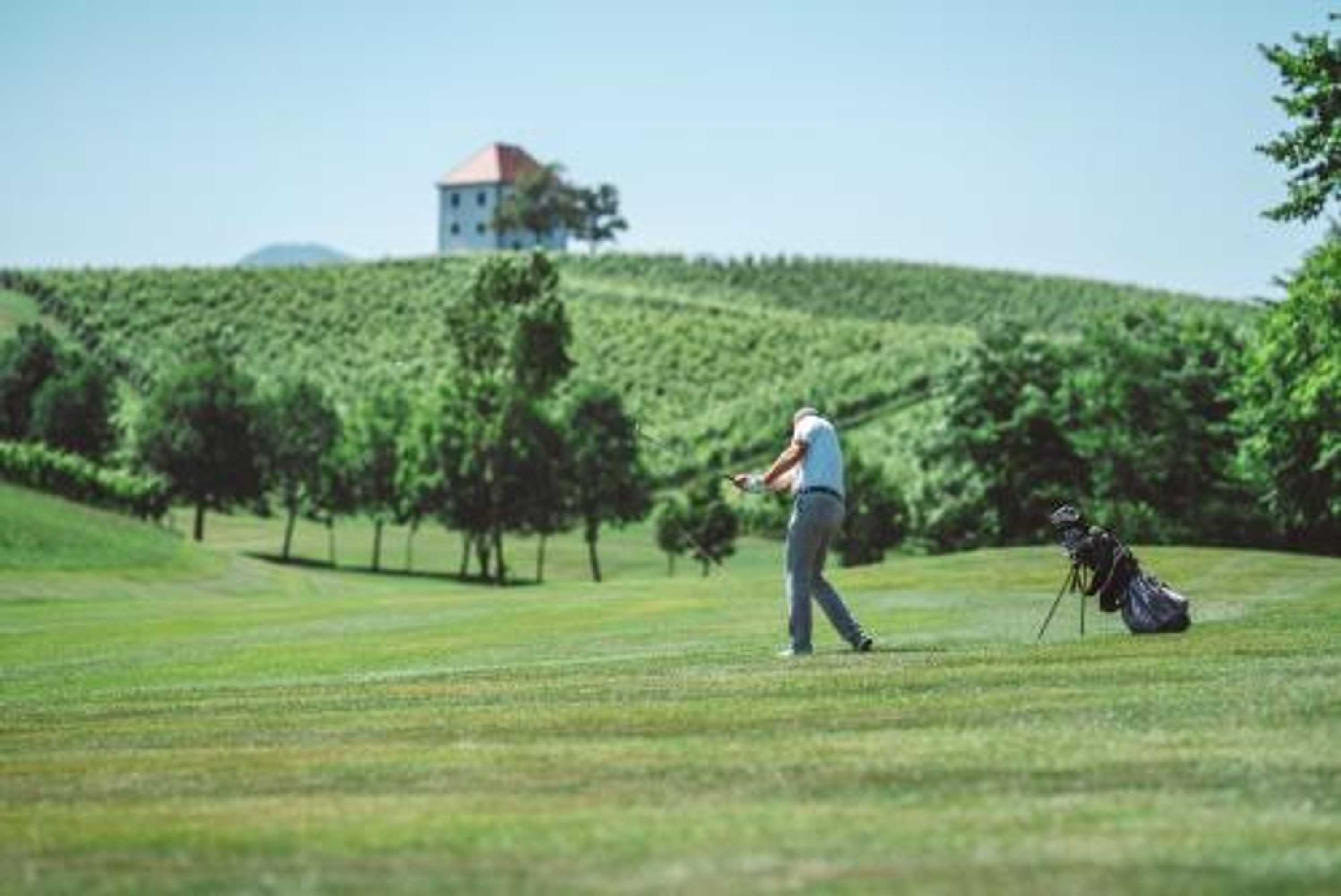 Gift card for Wine Grower's Mansion Zlati Gric Gift card for Wine Grower's Mansion Zlati Gric