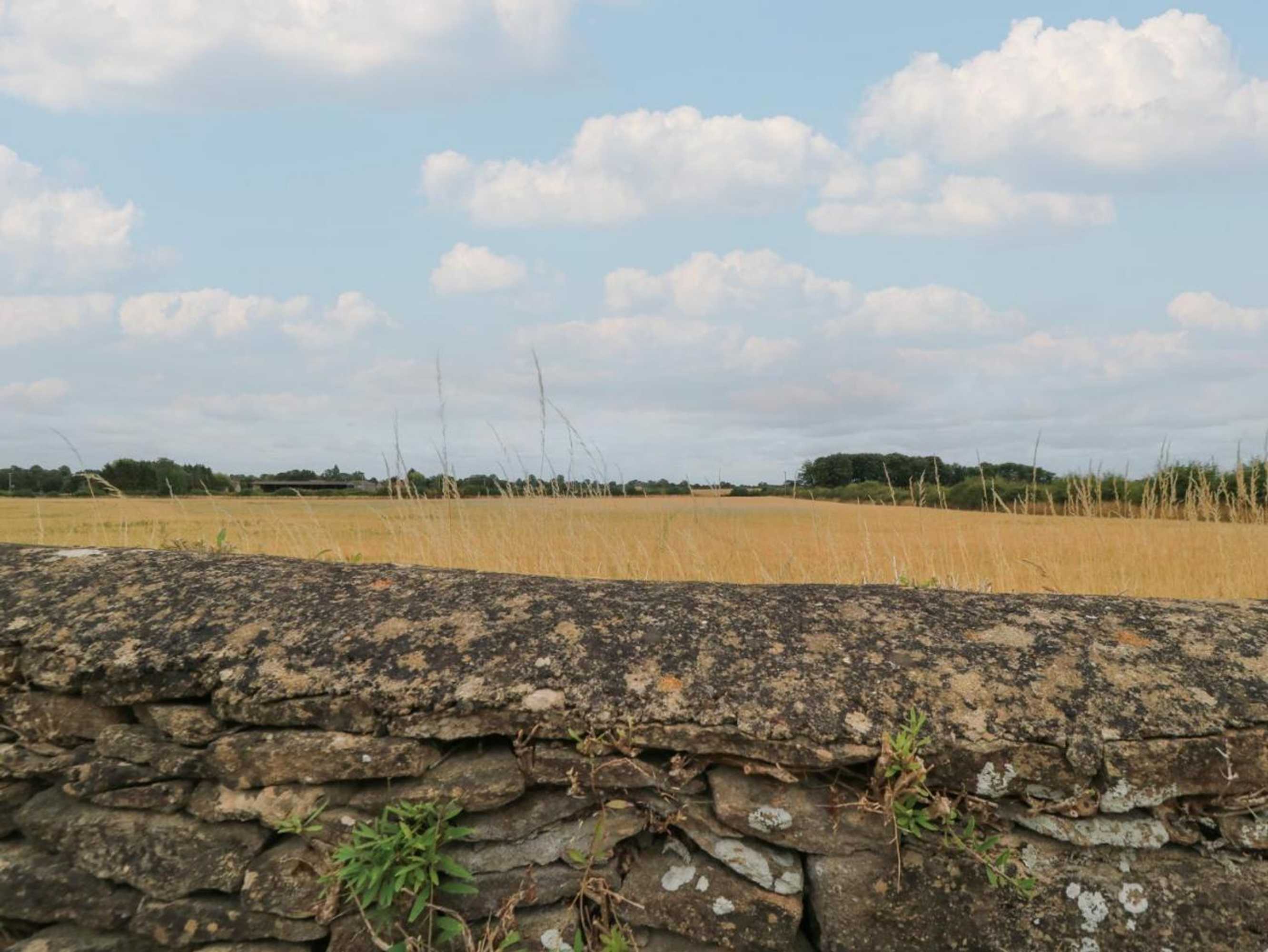 Gift card for The Lodge at Mortons