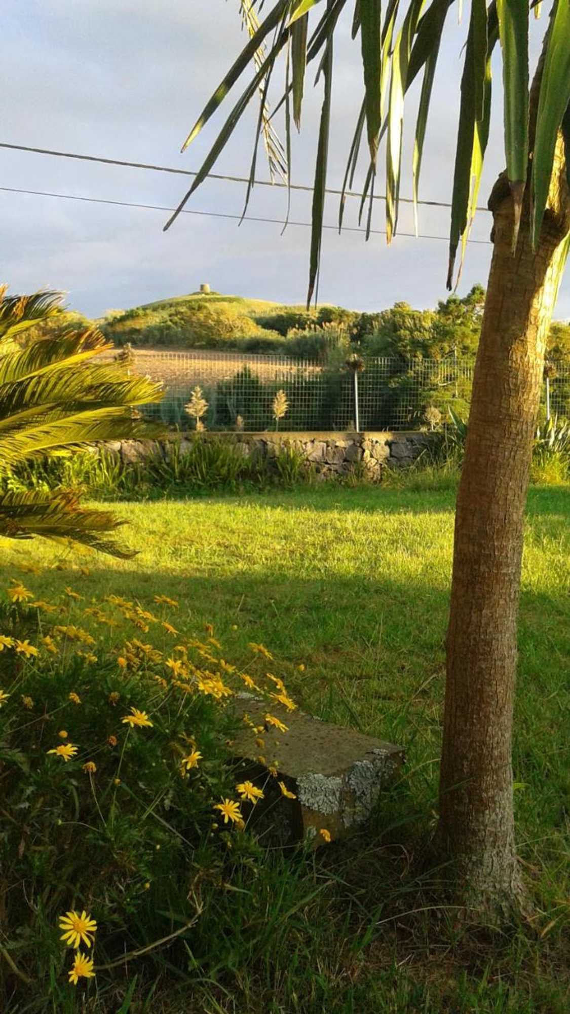 Gift card for Novovento