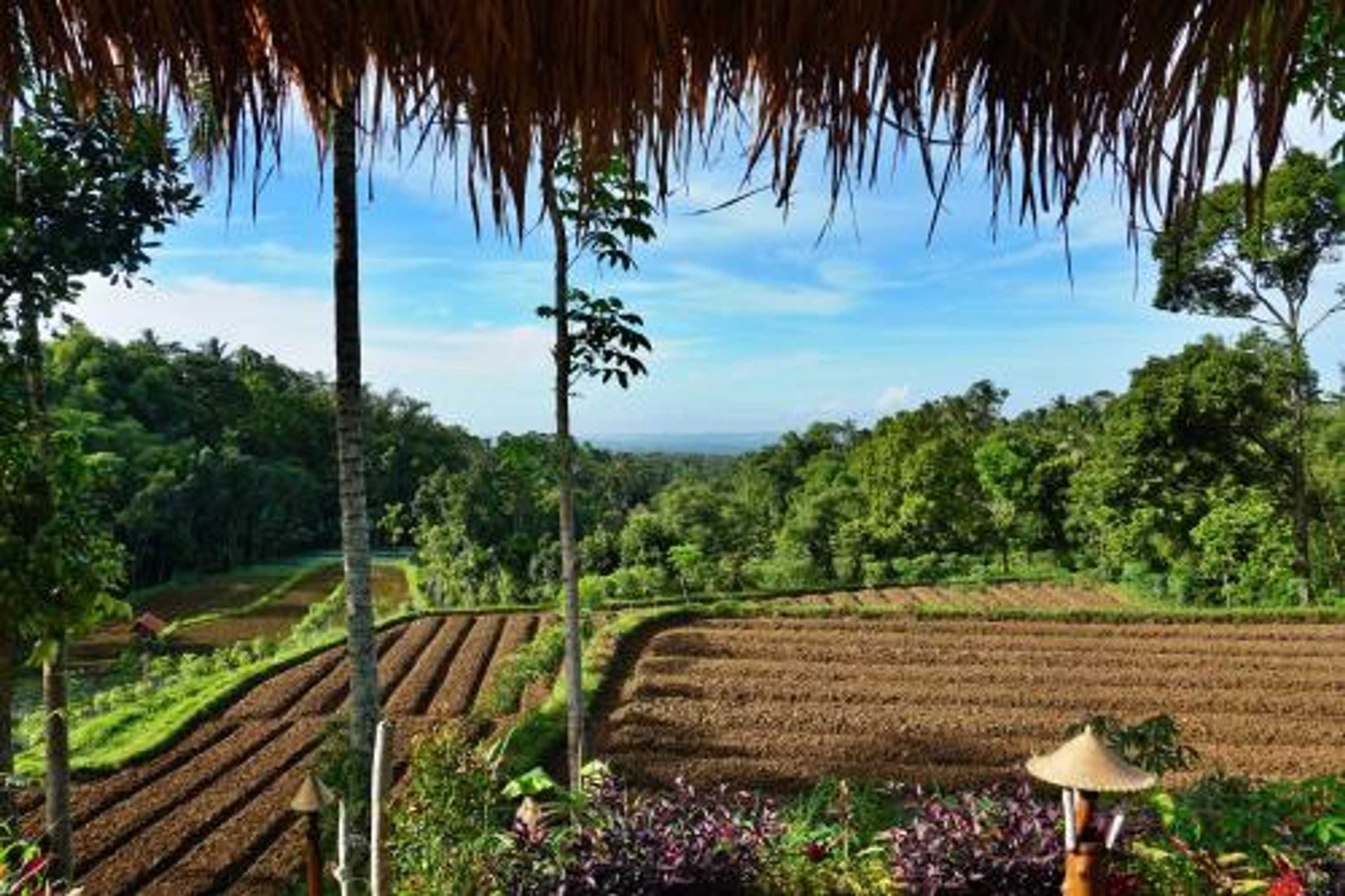 Gift card for Satu Lingkung Bungalows Homestay Gift card for Satu Lingkung Bungalows Homestay