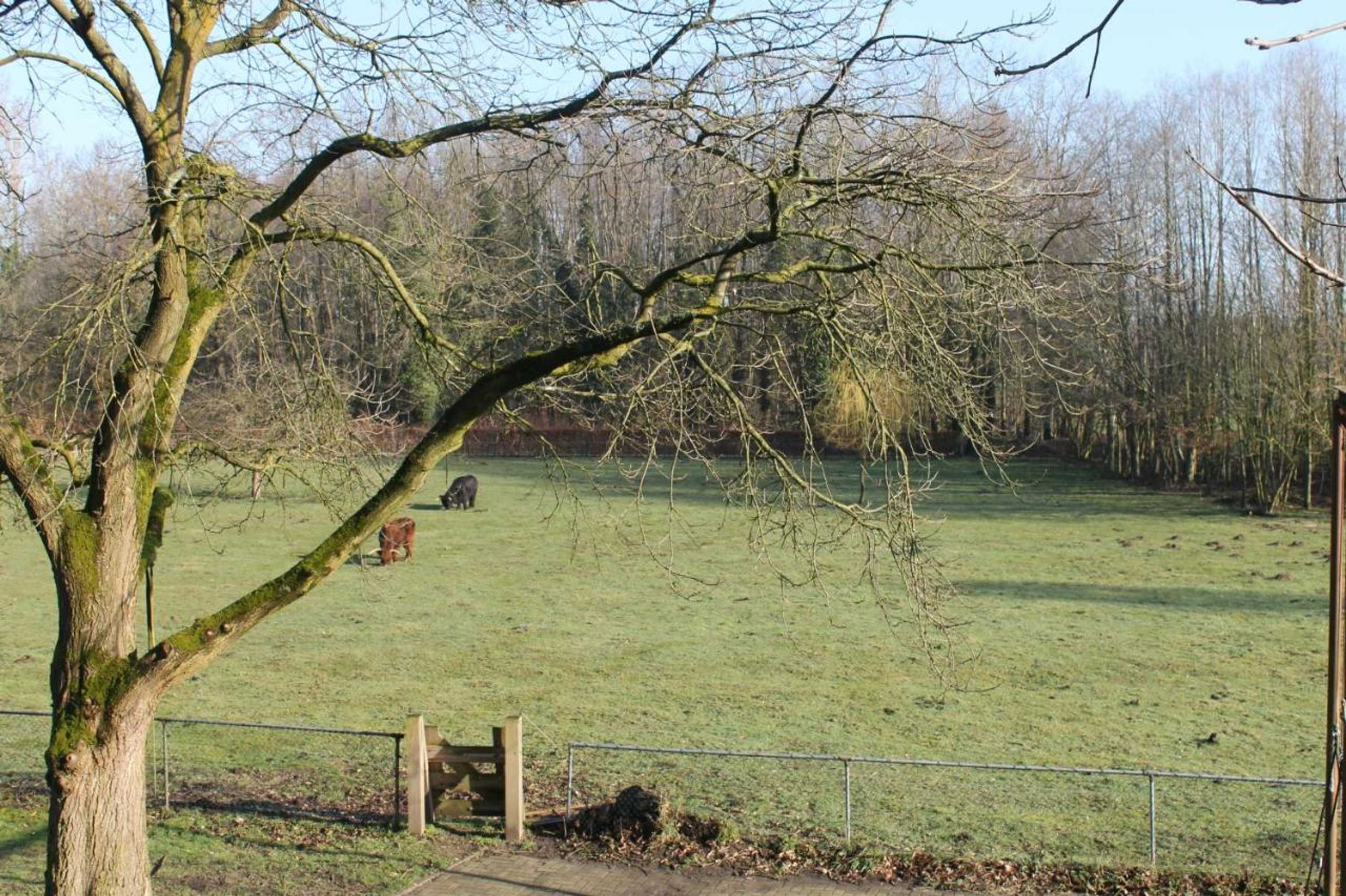 Gift card for Gastenverblijf Peppelmate