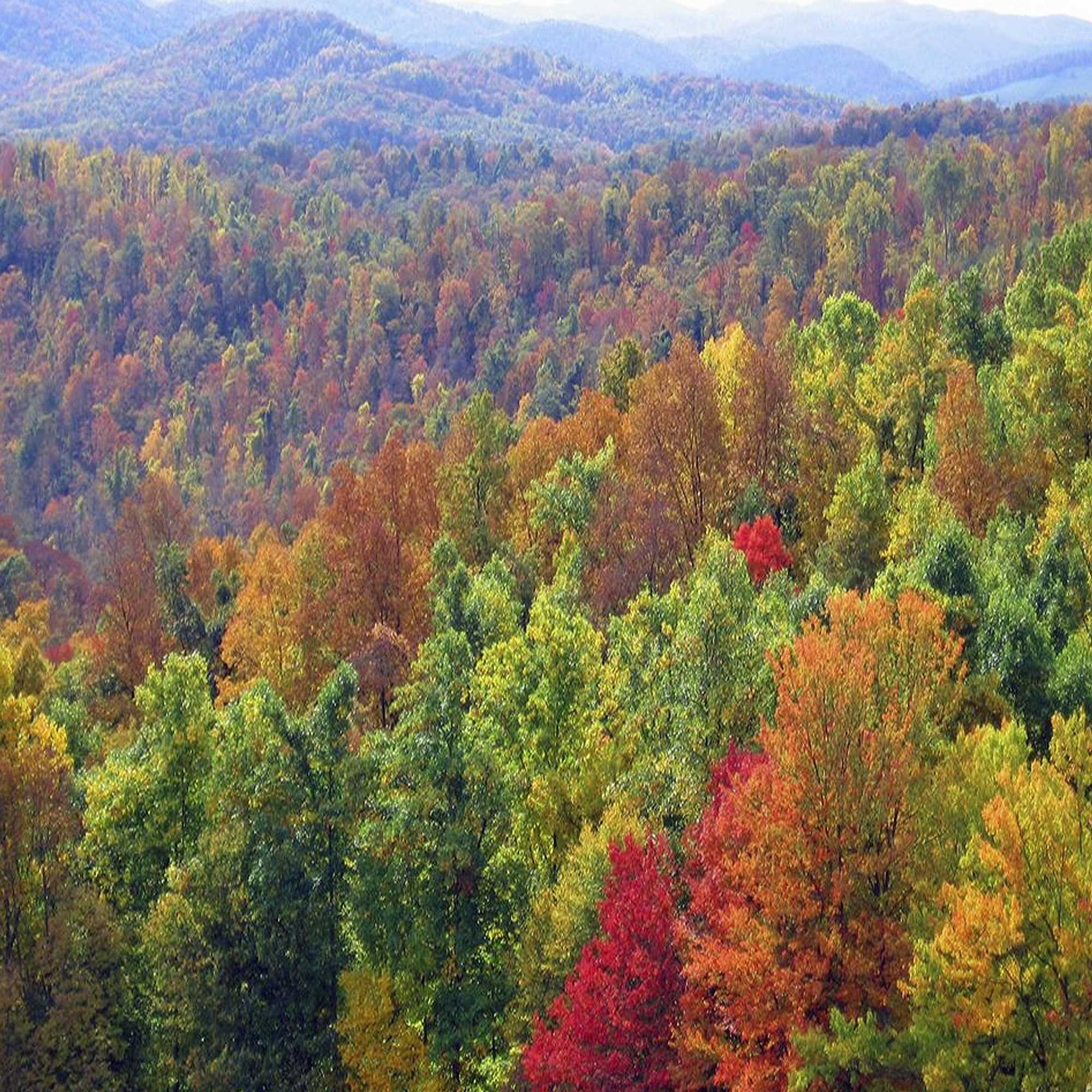 Gift card for River House Lodge