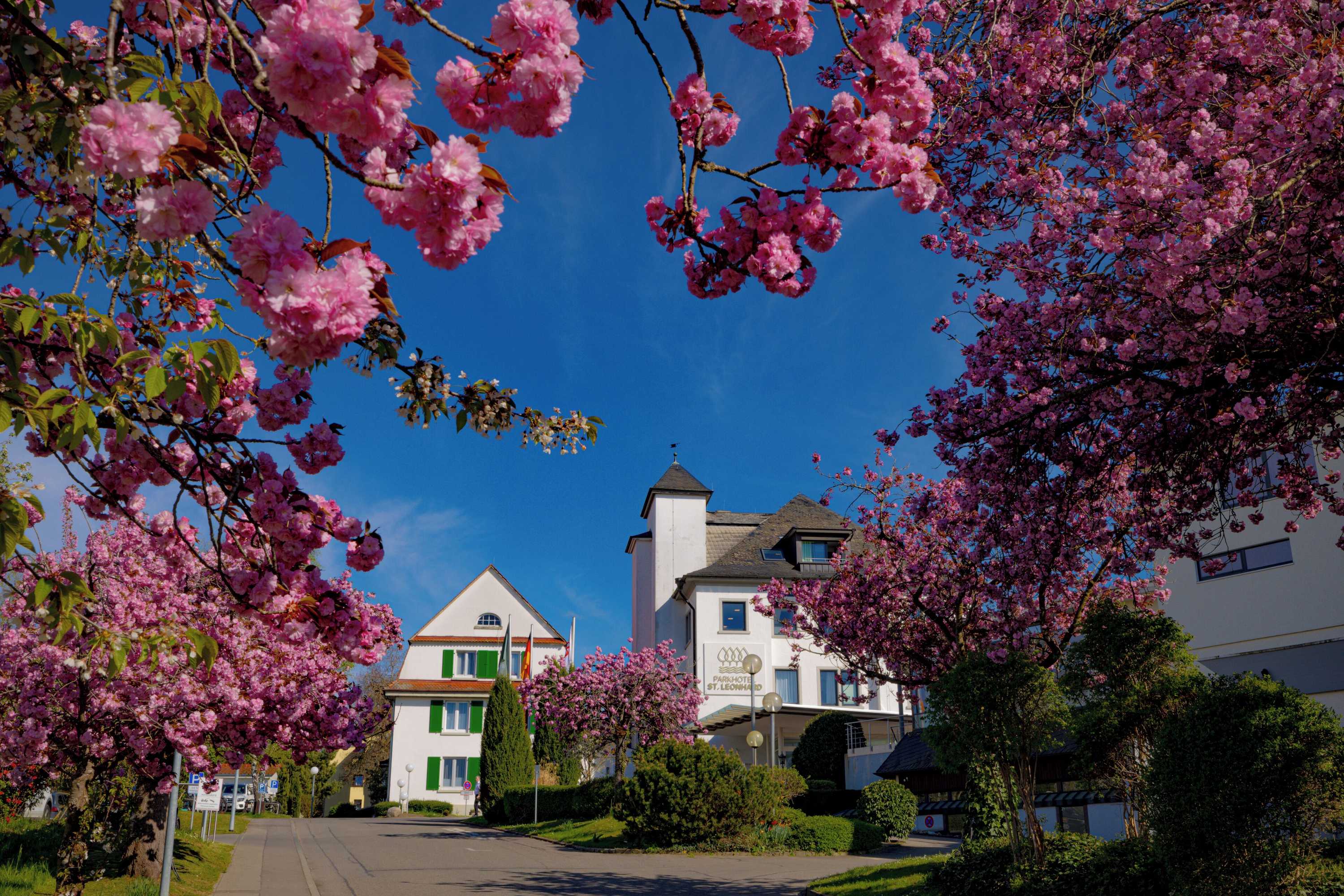 Gift card for Parkhotel St. Leonhard Gift card for Parkhotel St. Leonhard