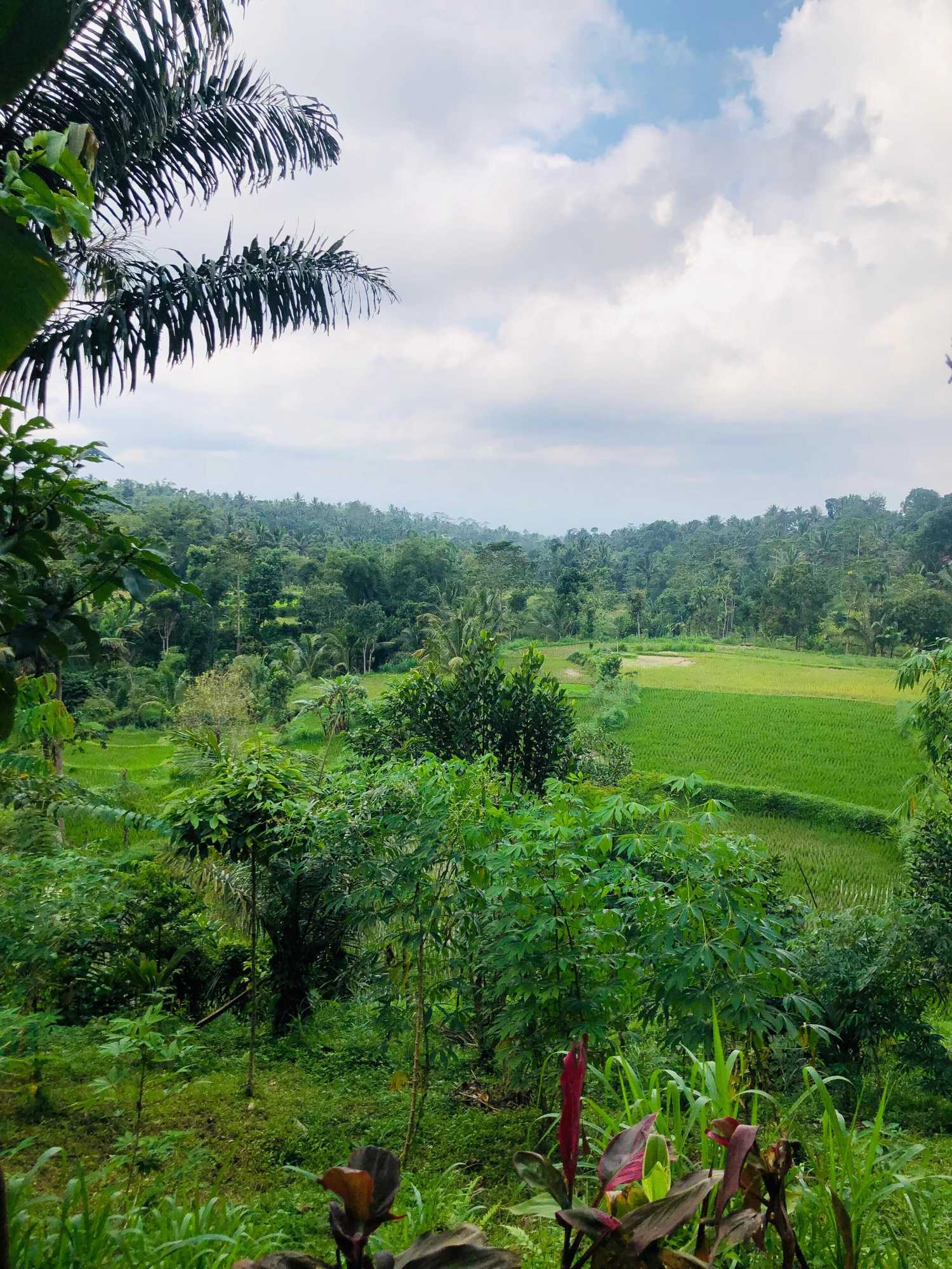 Gift card for Serenity Lodge Tetebatu Lombok