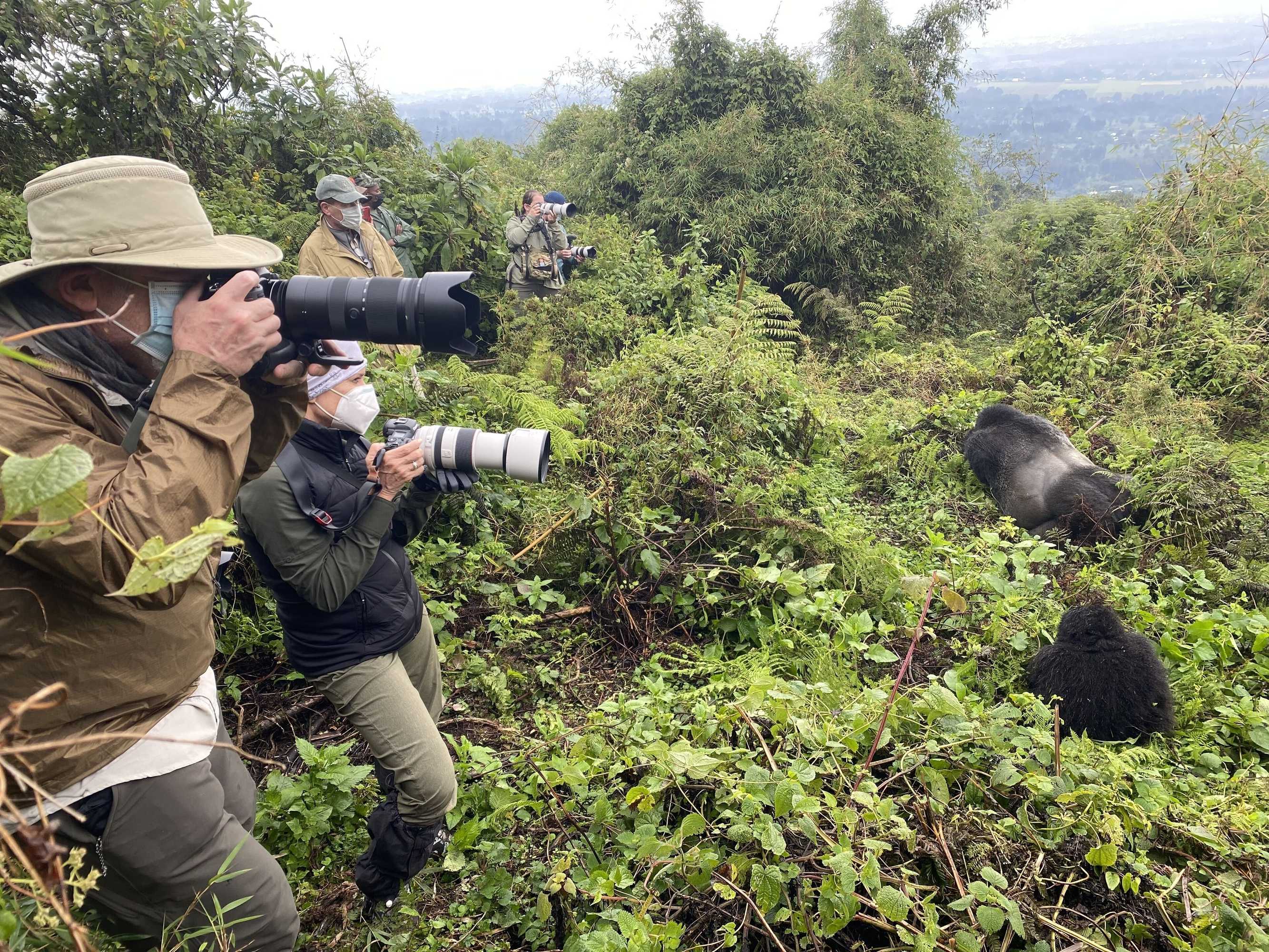 Gift card for Virunga Homestay & Campsites Gift card for Virunga Homestay & Campsites