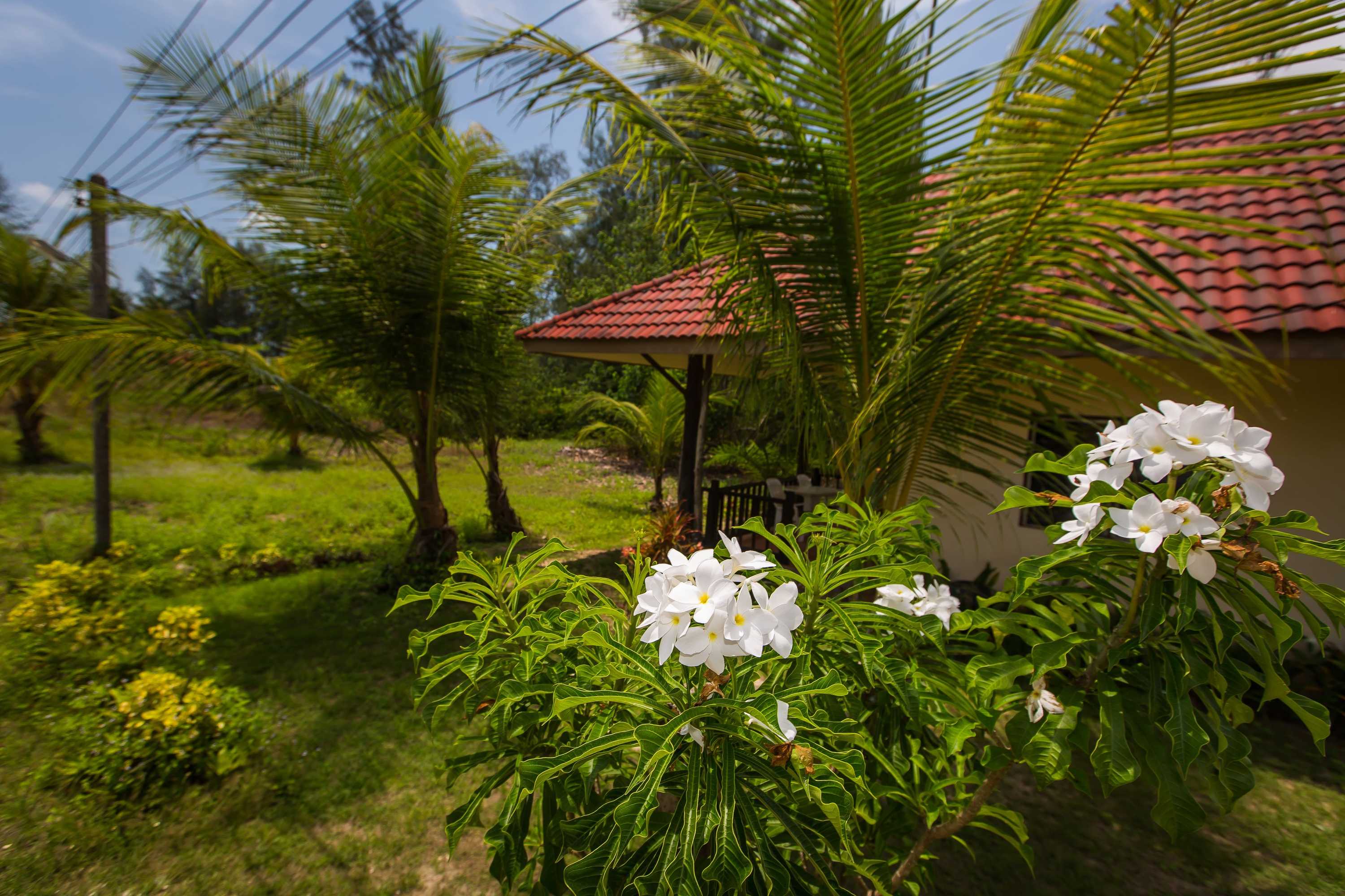 Gift card for Pranee Beach Bungalows Gift card for Pranee Beach Bungalows
