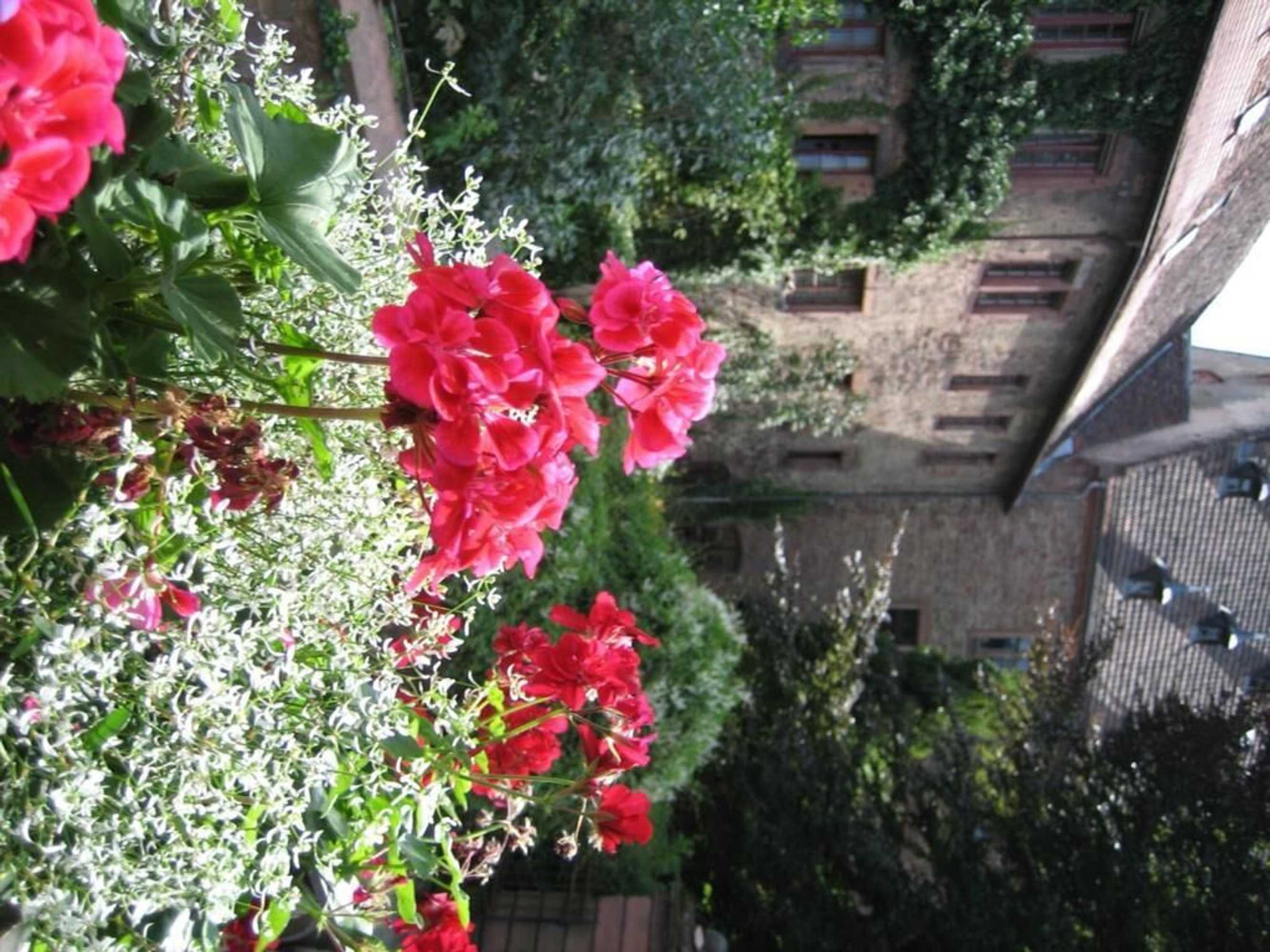 Gift card for Hotel Wappenstube