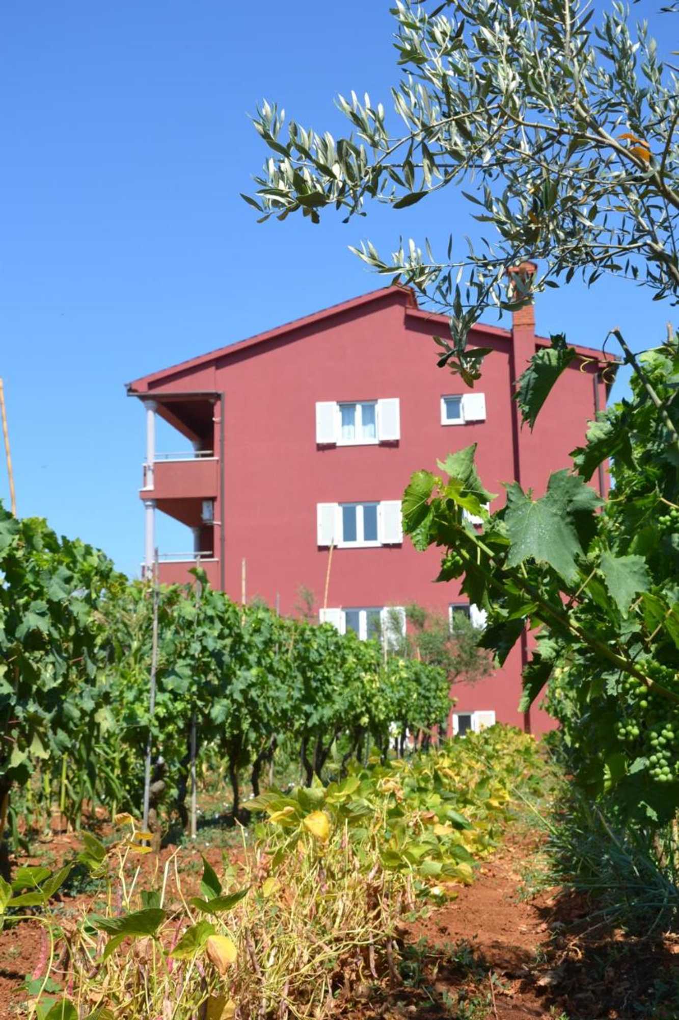 Gift card for Apartments Roža