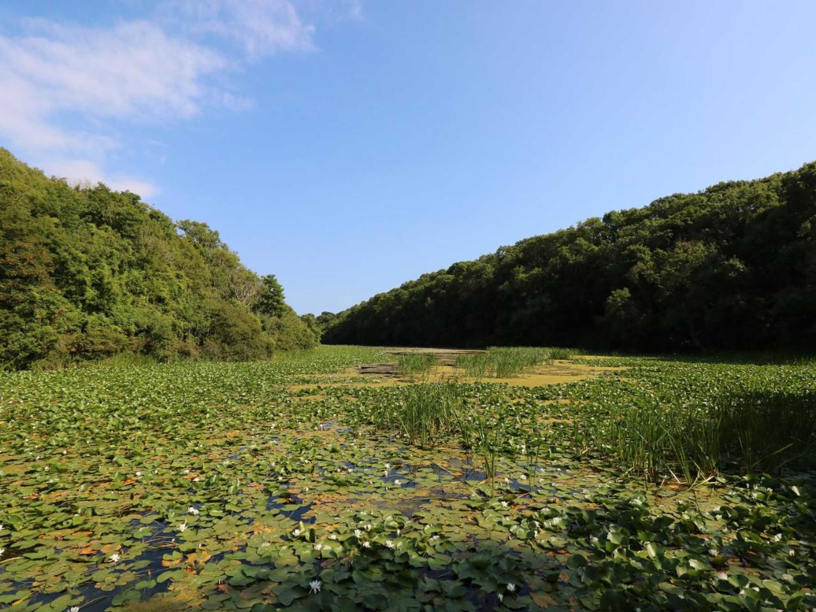 Gift card for Granary Cottage