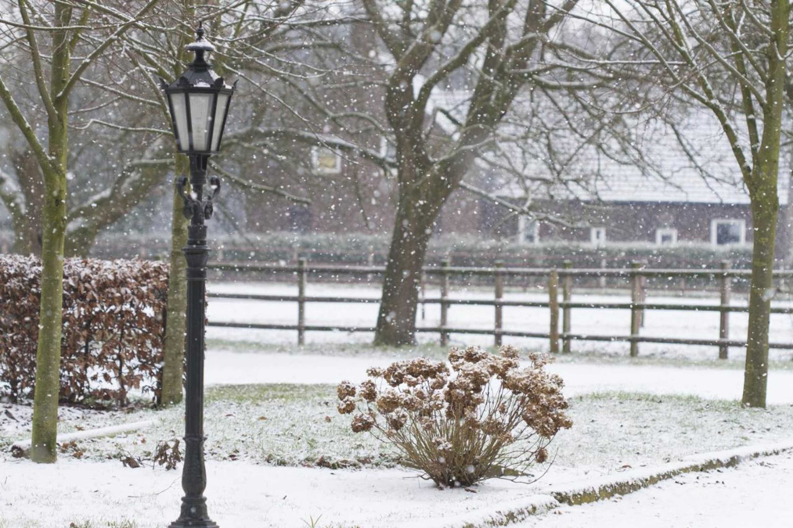 Gift card for Logies Angelbeeck