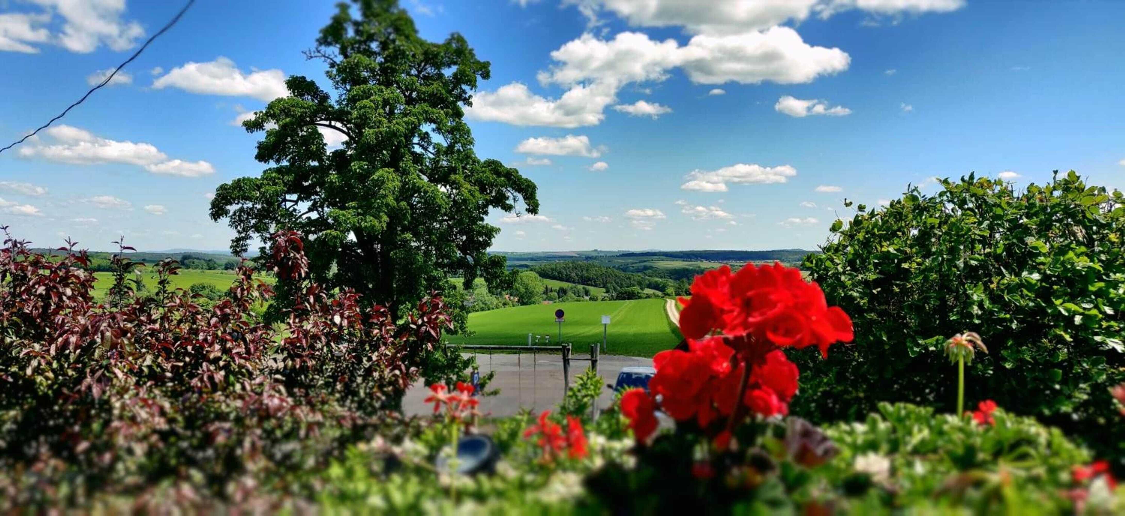 Gift card for Hotel Neue HÖhe