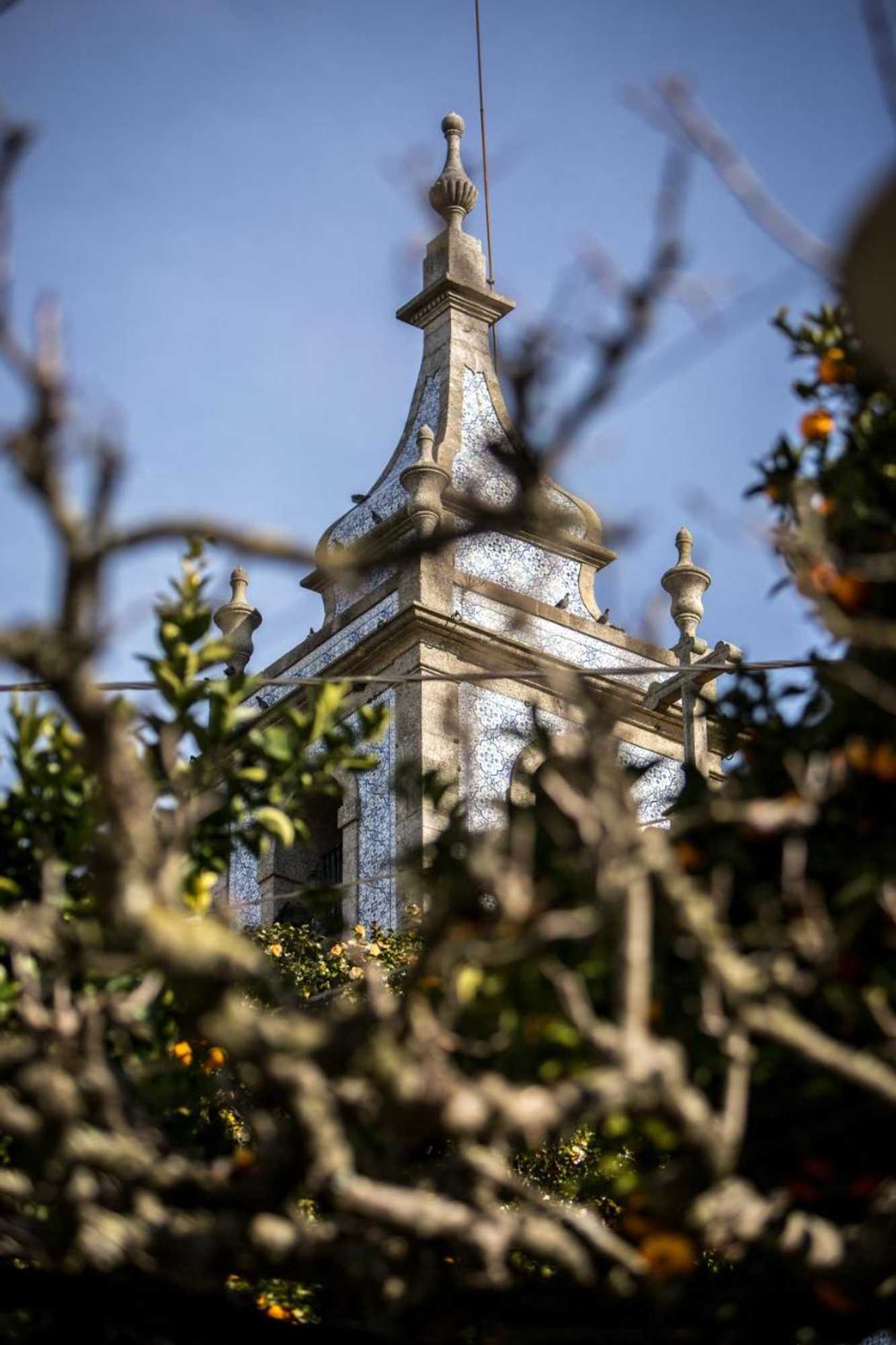 Gift card for Quinta São Miguel de Arcos