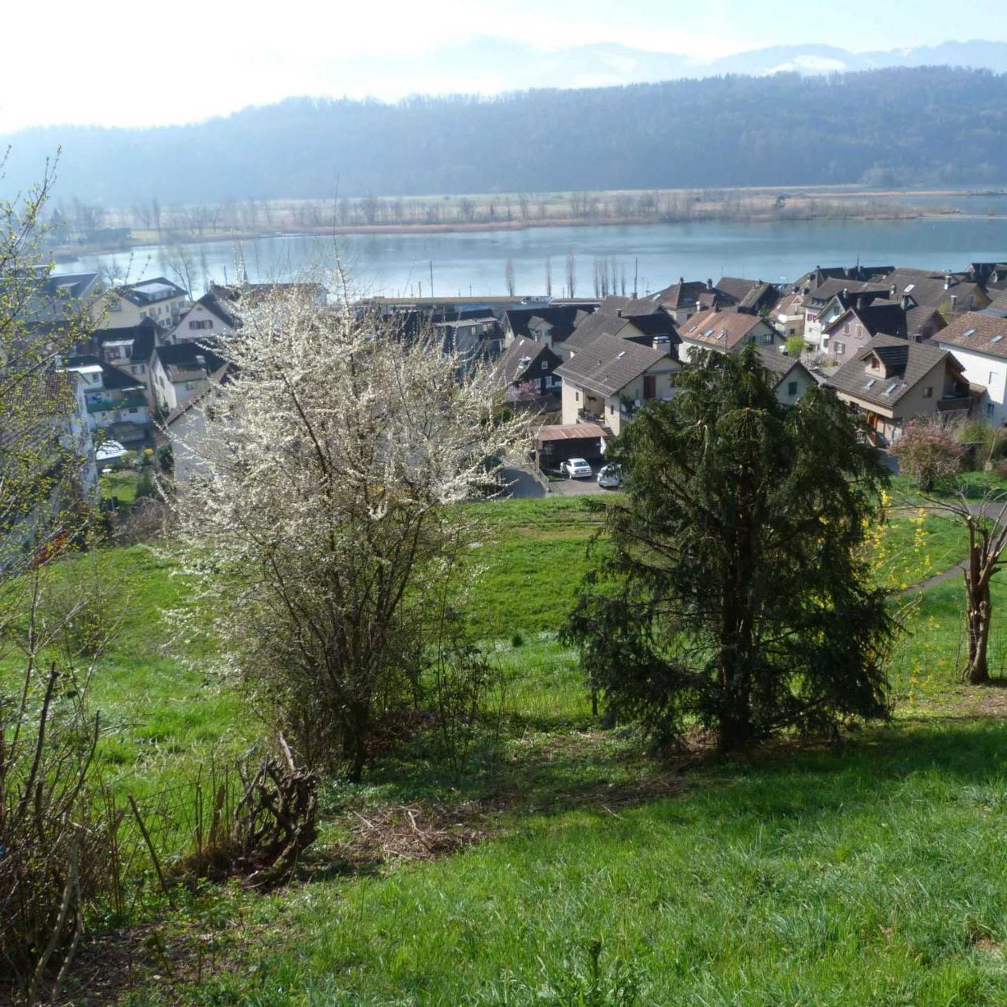 Gift card for Bnb Goldberg