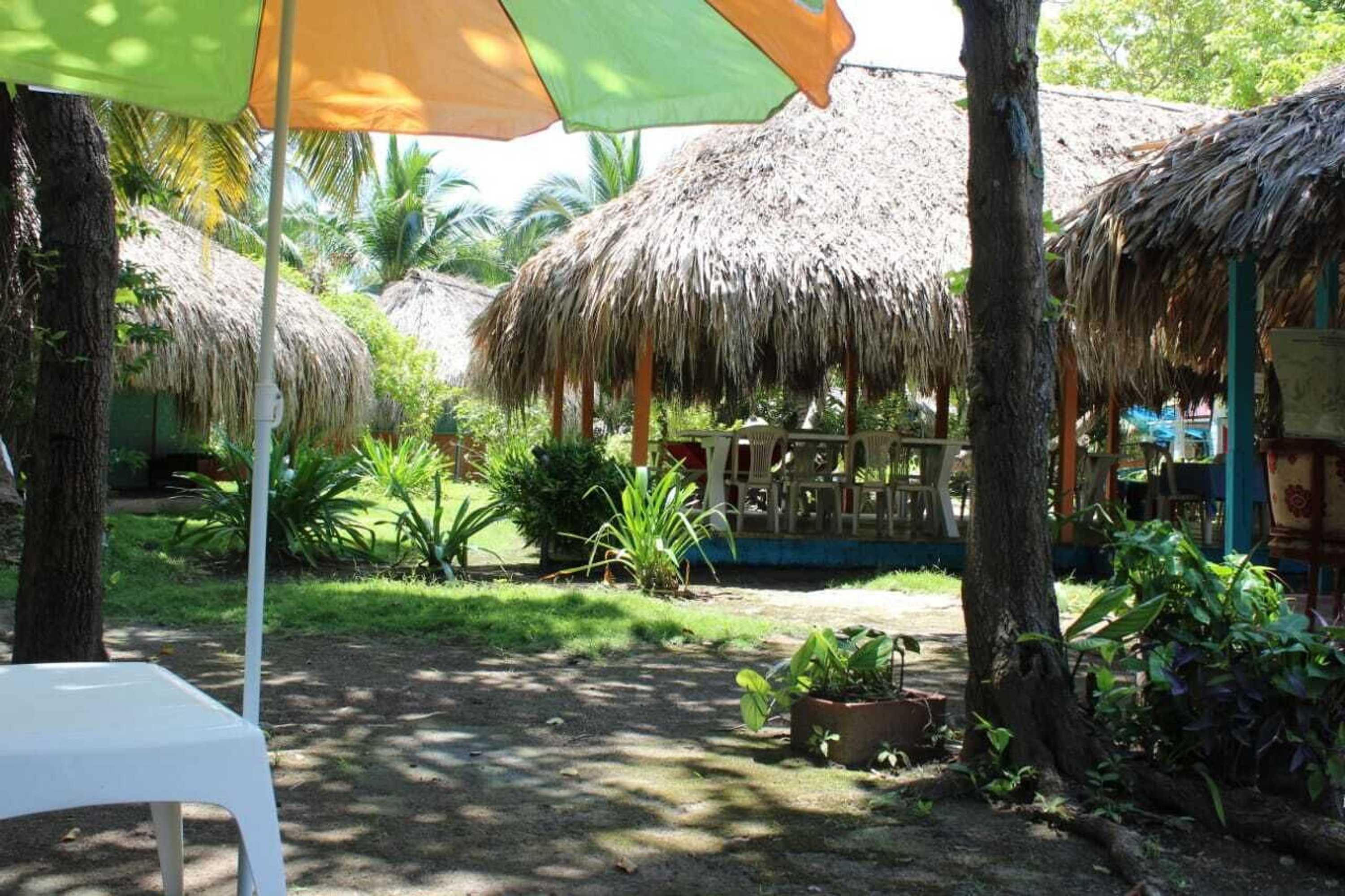 Gift card for Las Palmeras Gift card for Las Palmeras