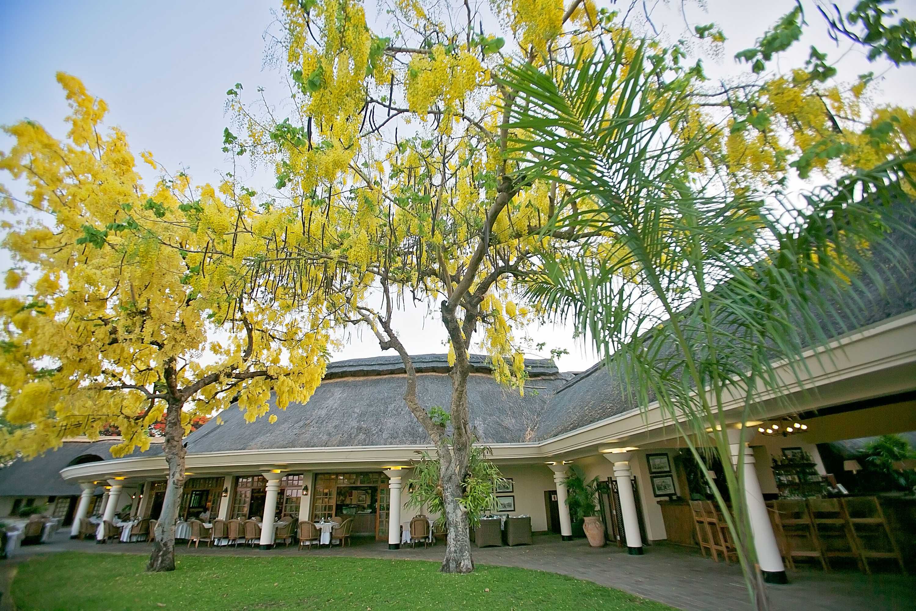 Gift card for Ilala Lodge Hotel Gift card for Ilala Lodge Hotel