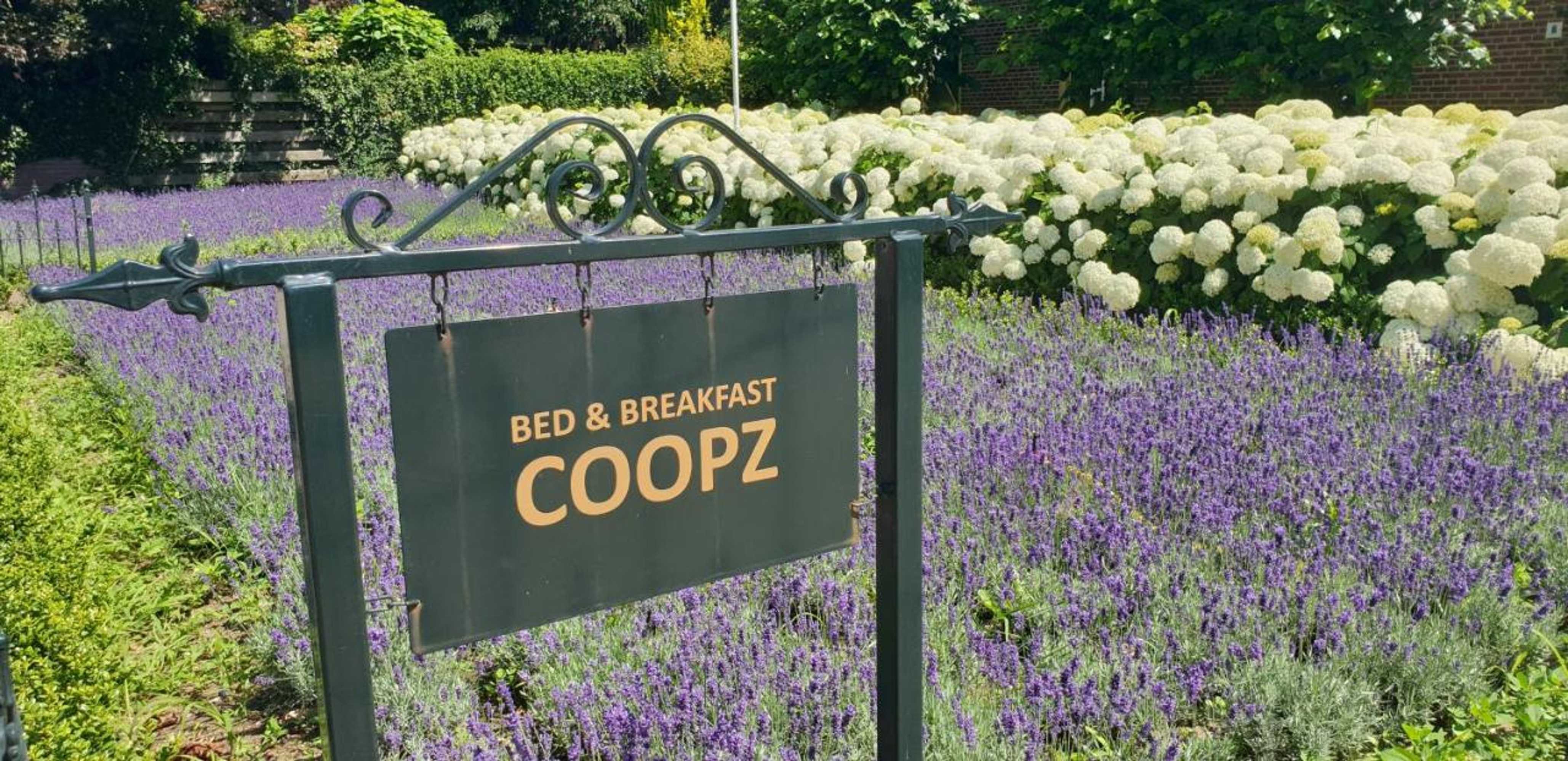 Gift card for Bed & Breakfast Coopz
